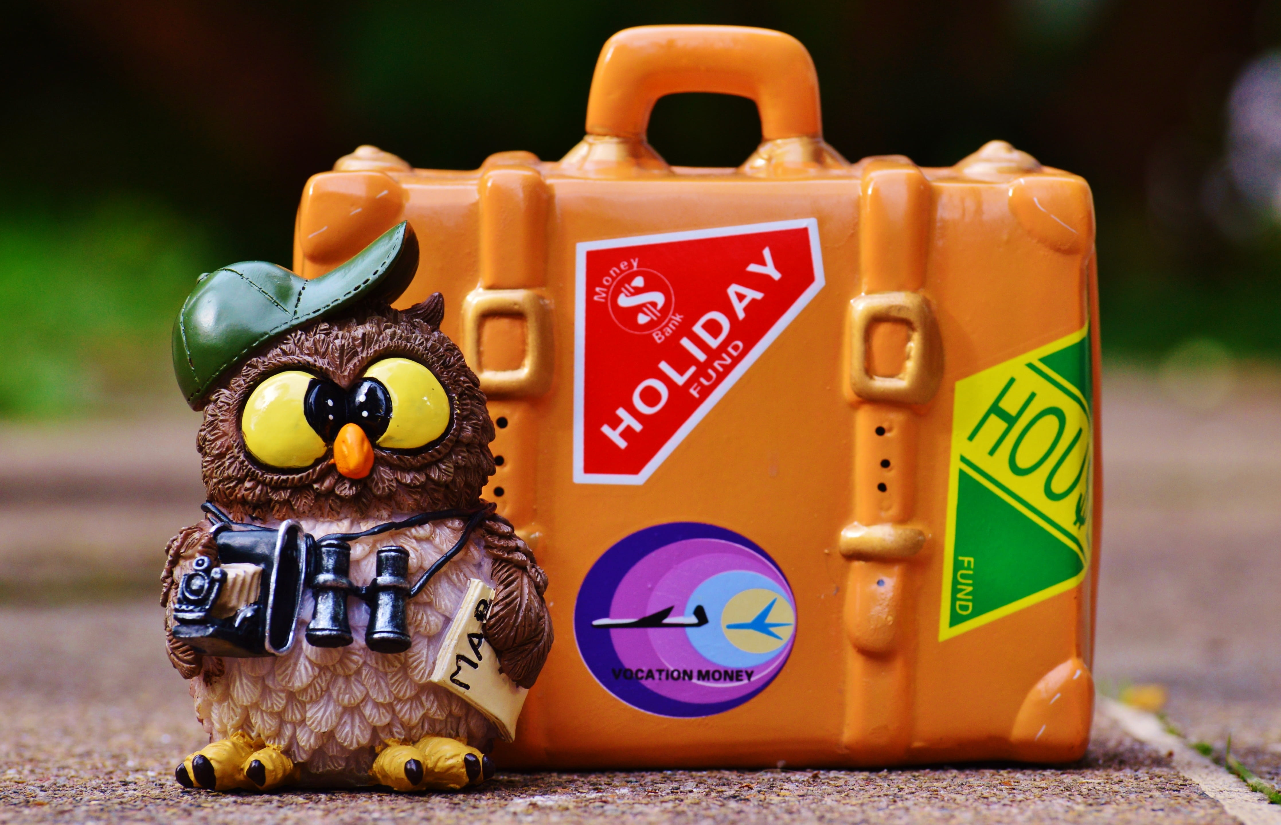 outdoors, education, beside, tourist, car, holiday, cute, trolley, toy car, animal representation, animal, figurine, day, travel, figure, on the go, representation, HD Wallpaper