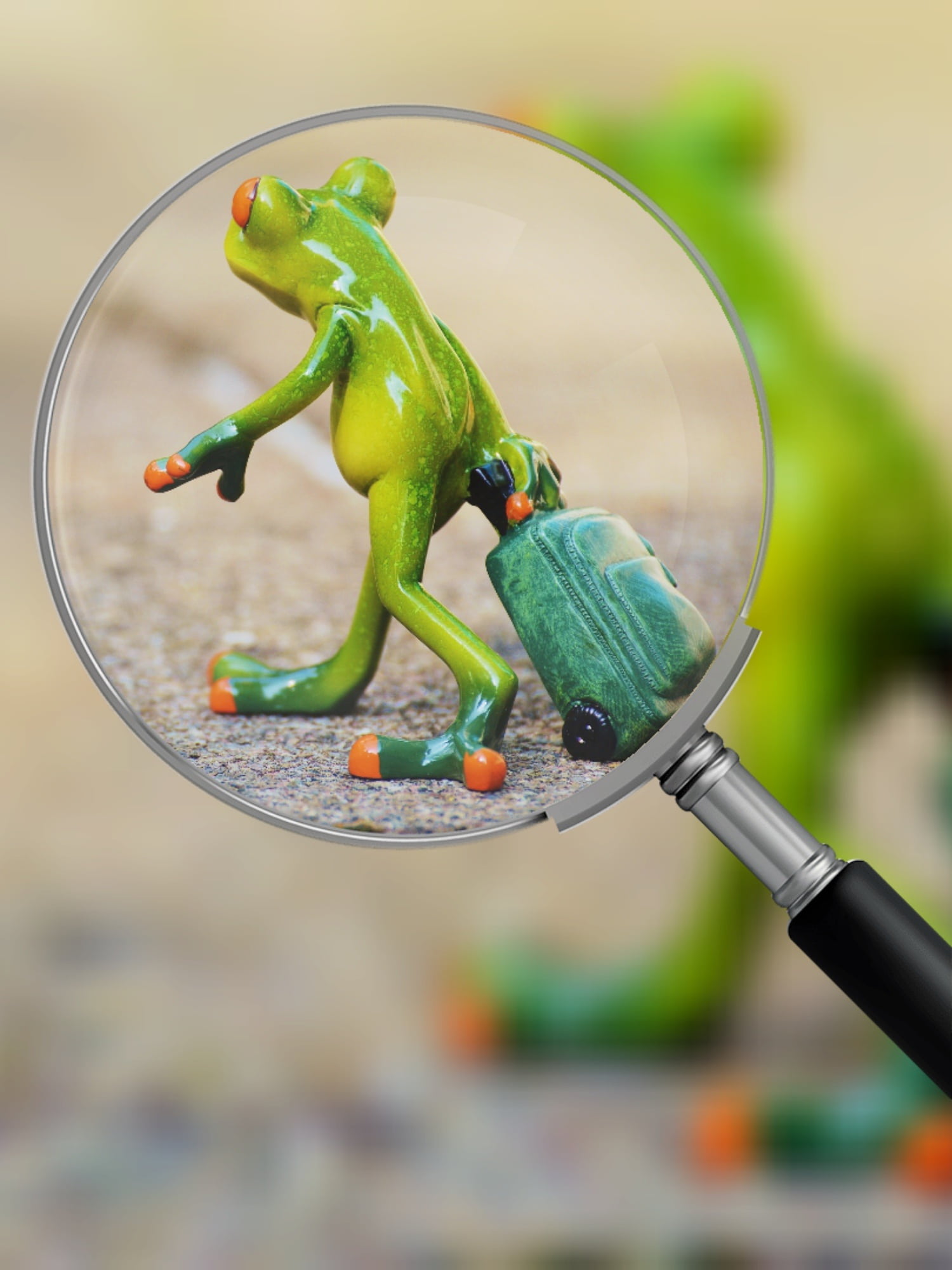 holdall, funny, vertebrate, fun, outdoors, travel, on the go, vegetable, nature, magnifying glass, green color, farewell, figure, 1080P, go away, food and drink, Phone HD Wallpaper