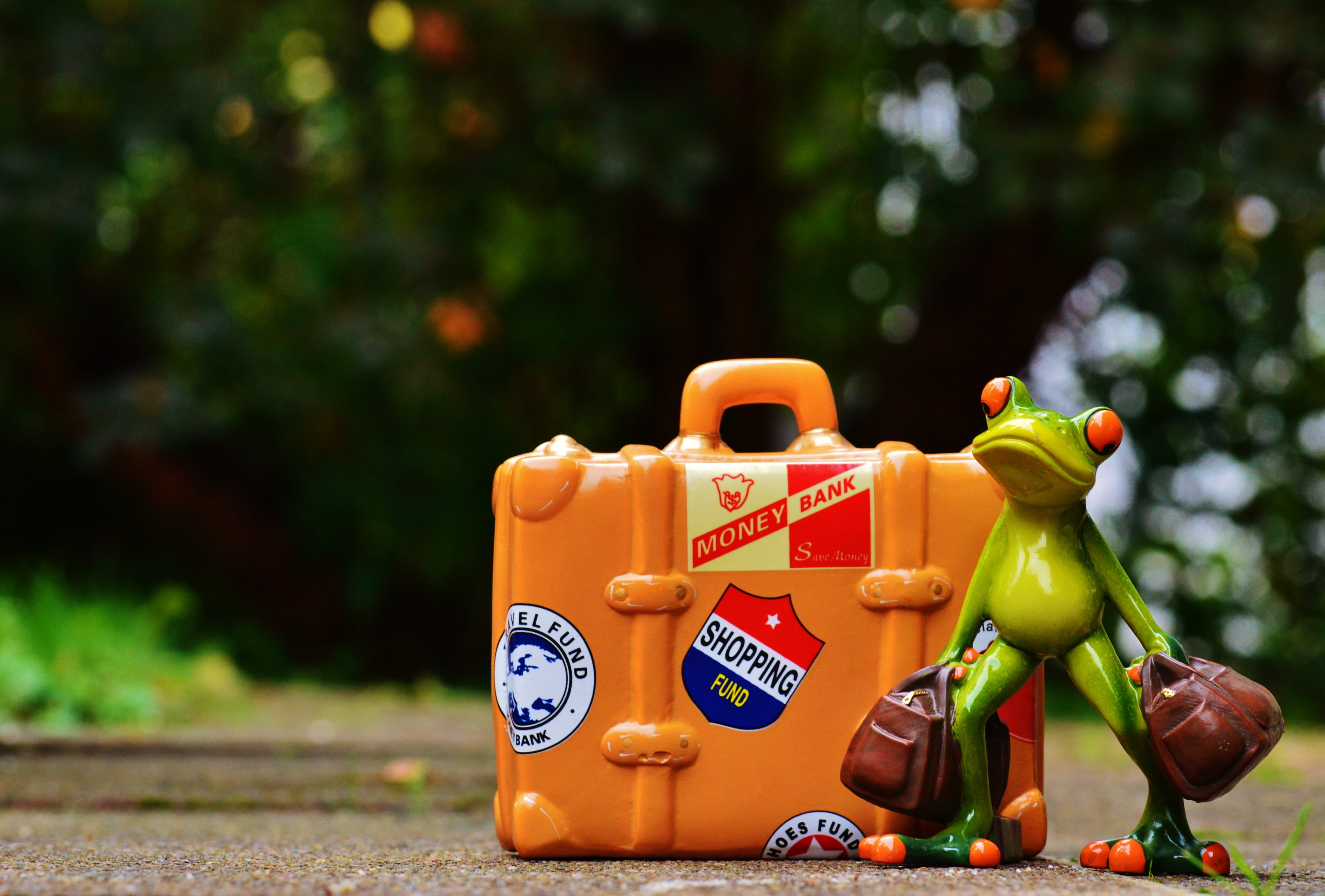 art and craft, focus on foreground, travel, holiday, nature, yellow, tree, luggage, farewell, funny, 4K, holidays, Fun, holdall, sweet, Frog, animal, figure, HD Wallpaper