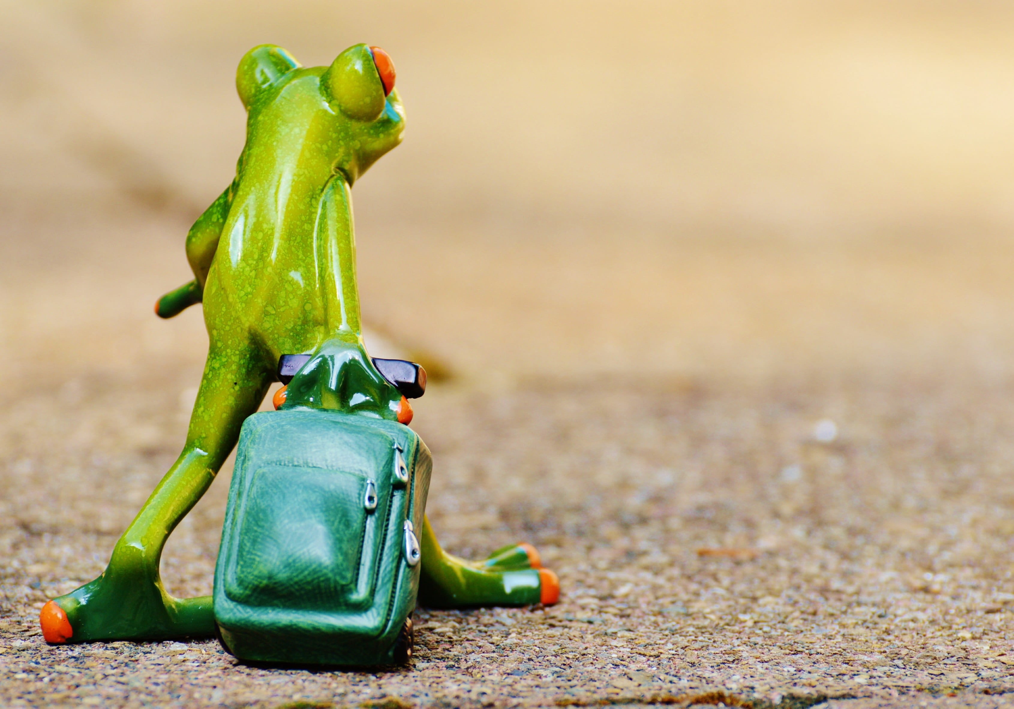 on the go, figurine, amphibian, land, animal wildlife, focus on foreground, farewell, funny, nature, green color, still life, frog, surface level, ceramic, HD Wallpaper