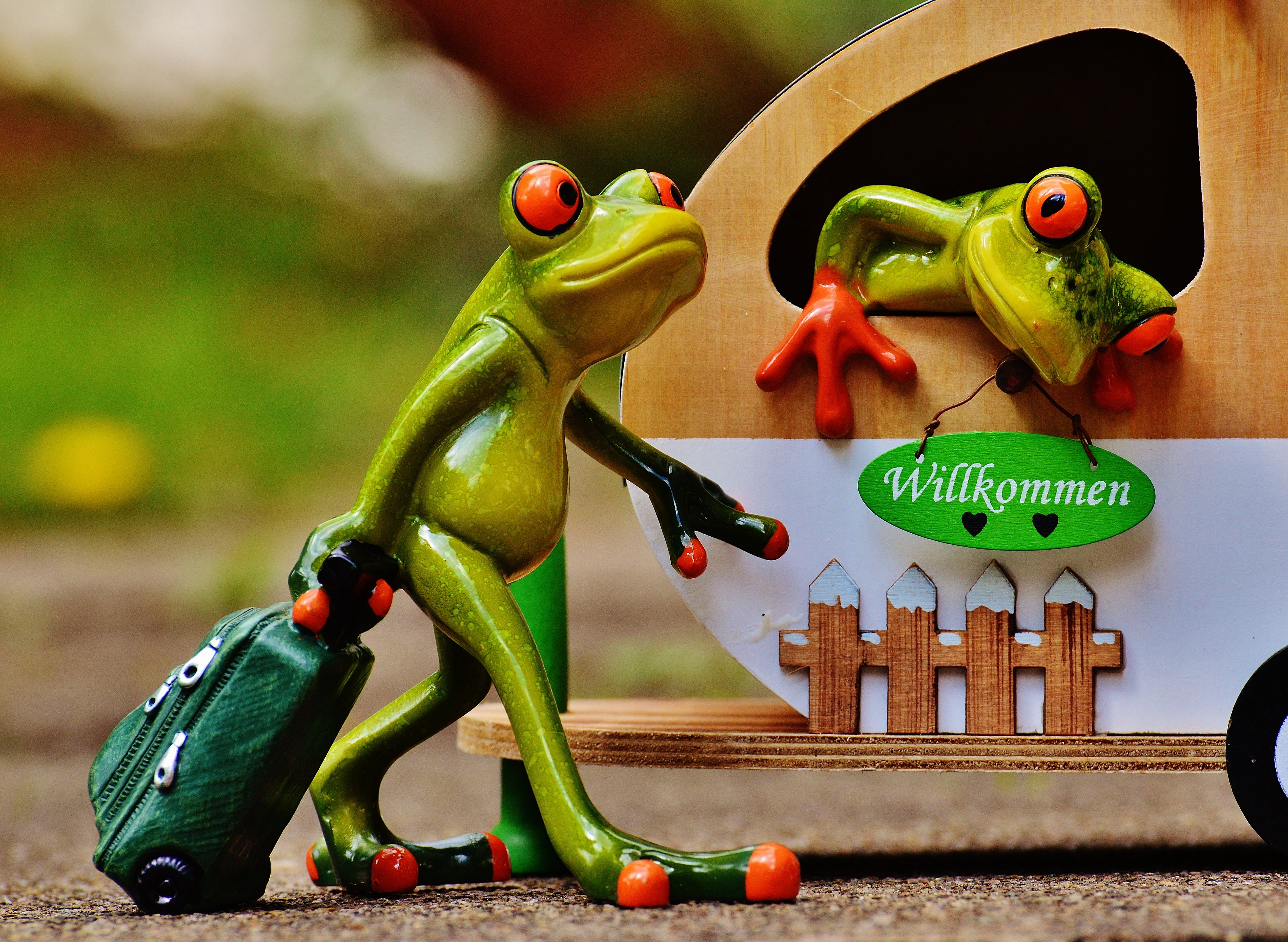 no people, figure, 4K, red, frog, holiday, table, indoors, fun, food and drink, close-up, caravan, decoration, green color, food, animal representation, HD Wallpaper