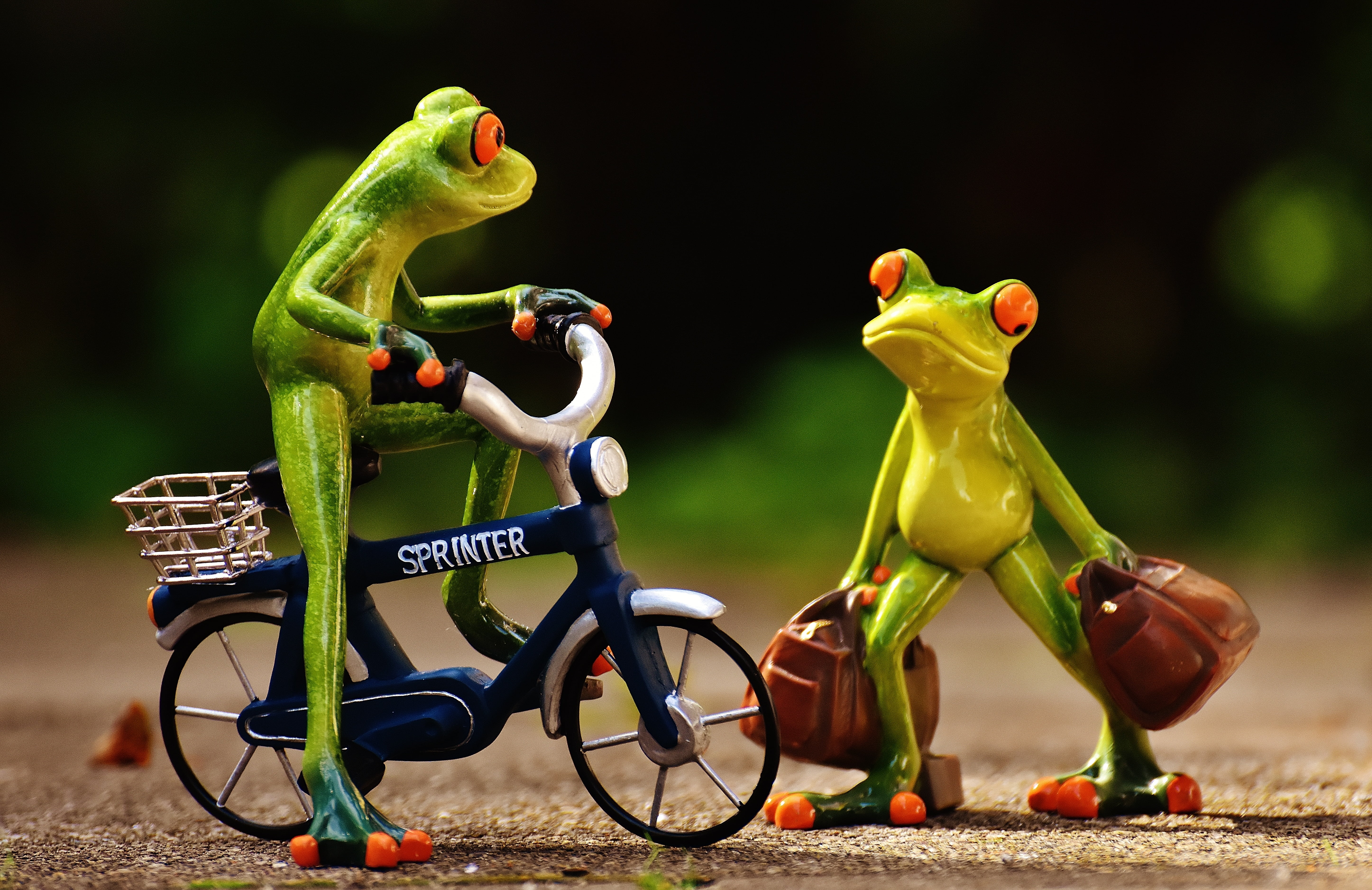 go away, holidays, go, luggage, holiday, 5K, on the go, activity, transportation, holdall, frogs, bike, travel, representation, see you again, tricycle, HD Wallpaper