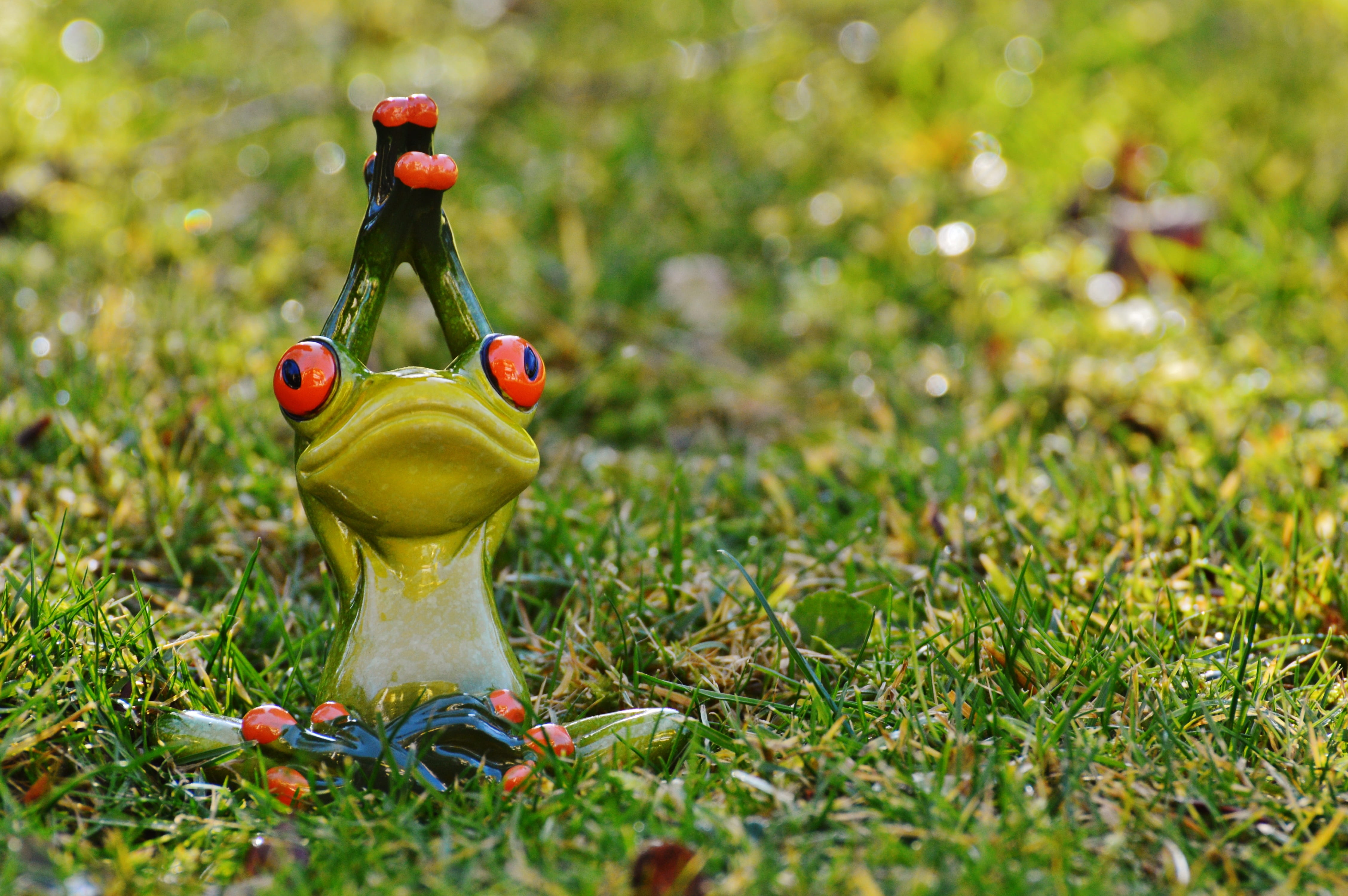 representation, grass, sweet, yoga, white, 4K, creativity, nature, art and craft, selective focus, plant, funny, close-up, no people, fun, figure, small, HD Wallpaper
