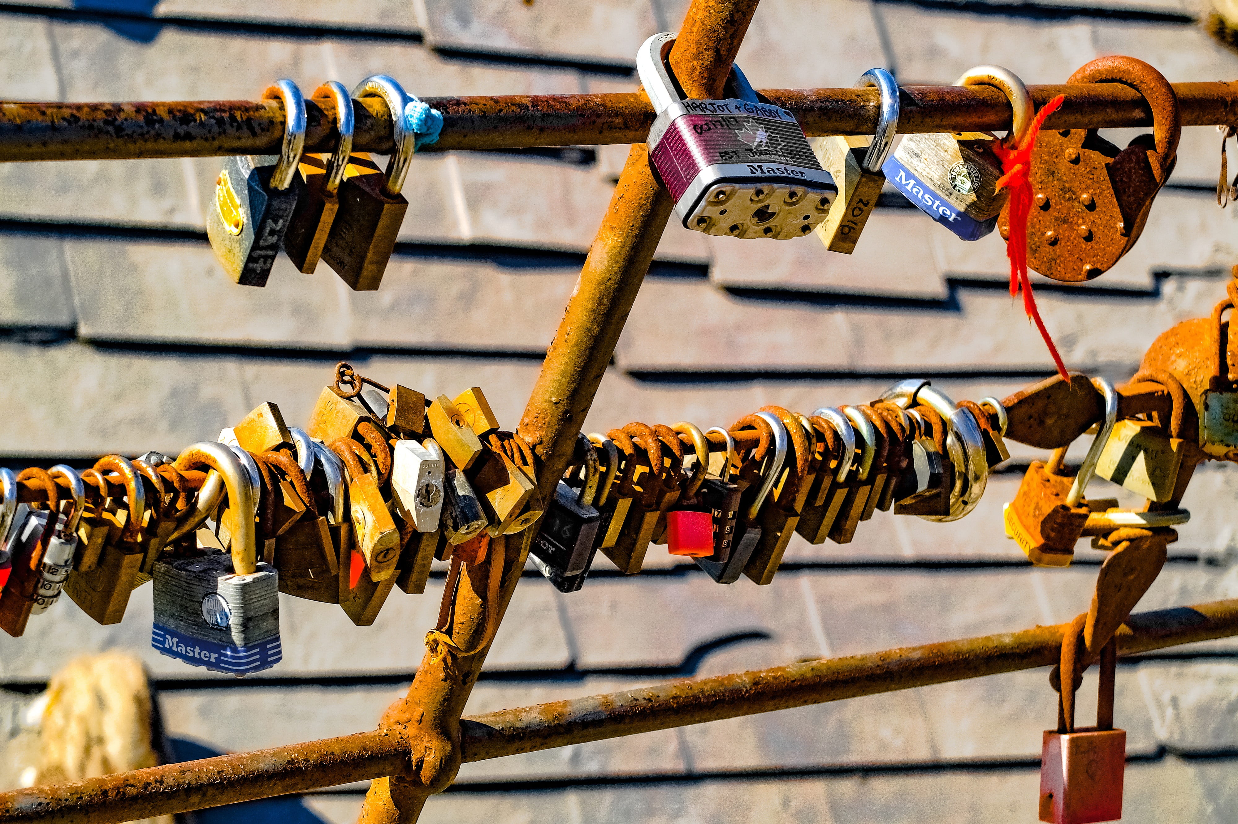 no people, luck, focus on foreground, choice, large group of objects, symbol, padlock, 4K, romantic, love, love lock, safety, security, connection, close-up, HD Wallpaper