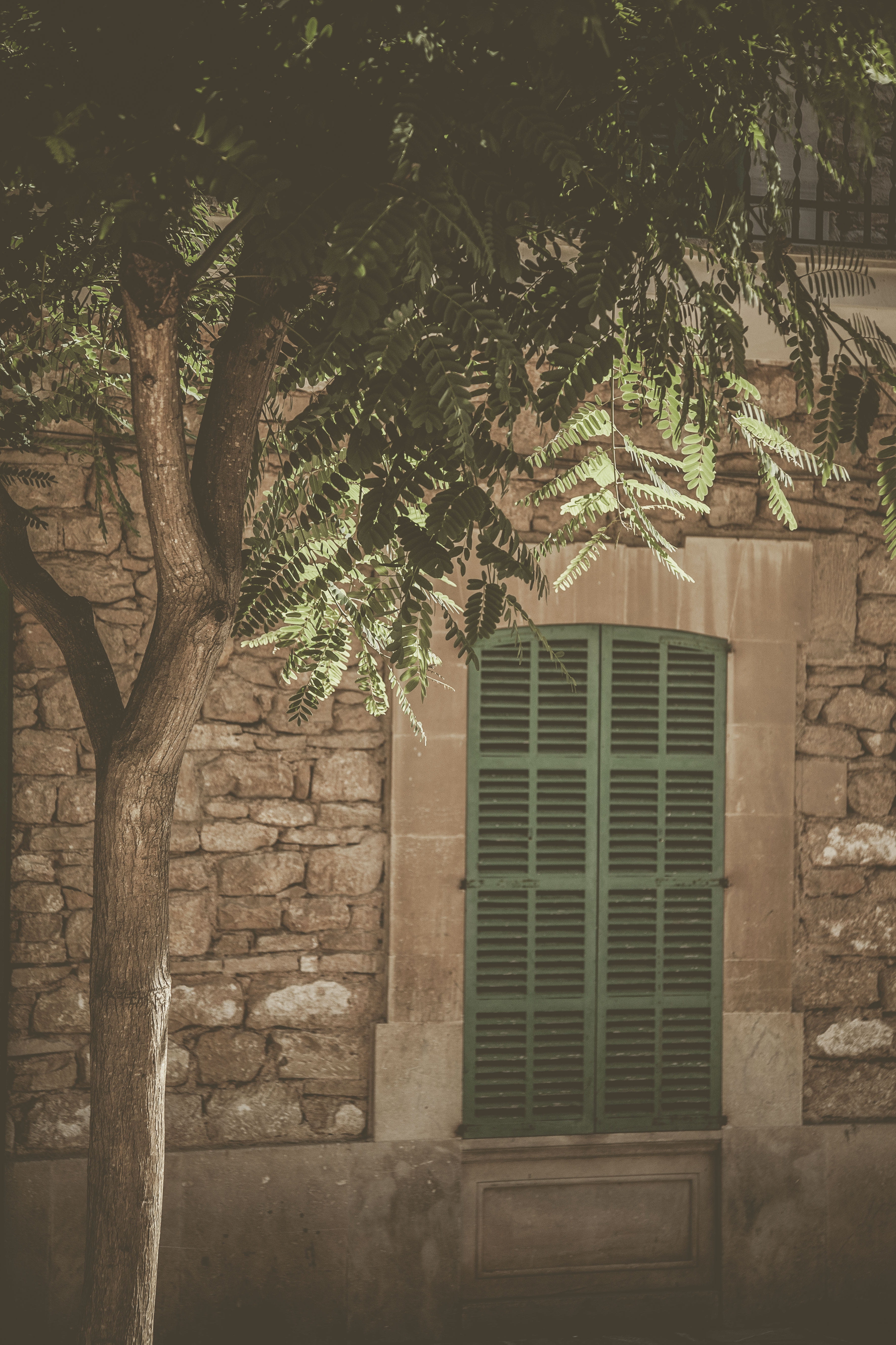 cobblestone, architecture, green, pavement, walkway, plant, house, path, shutter, flagstone, tree, patio, window shade, curtain, branch, building exterior, Phone HD Wallpaper