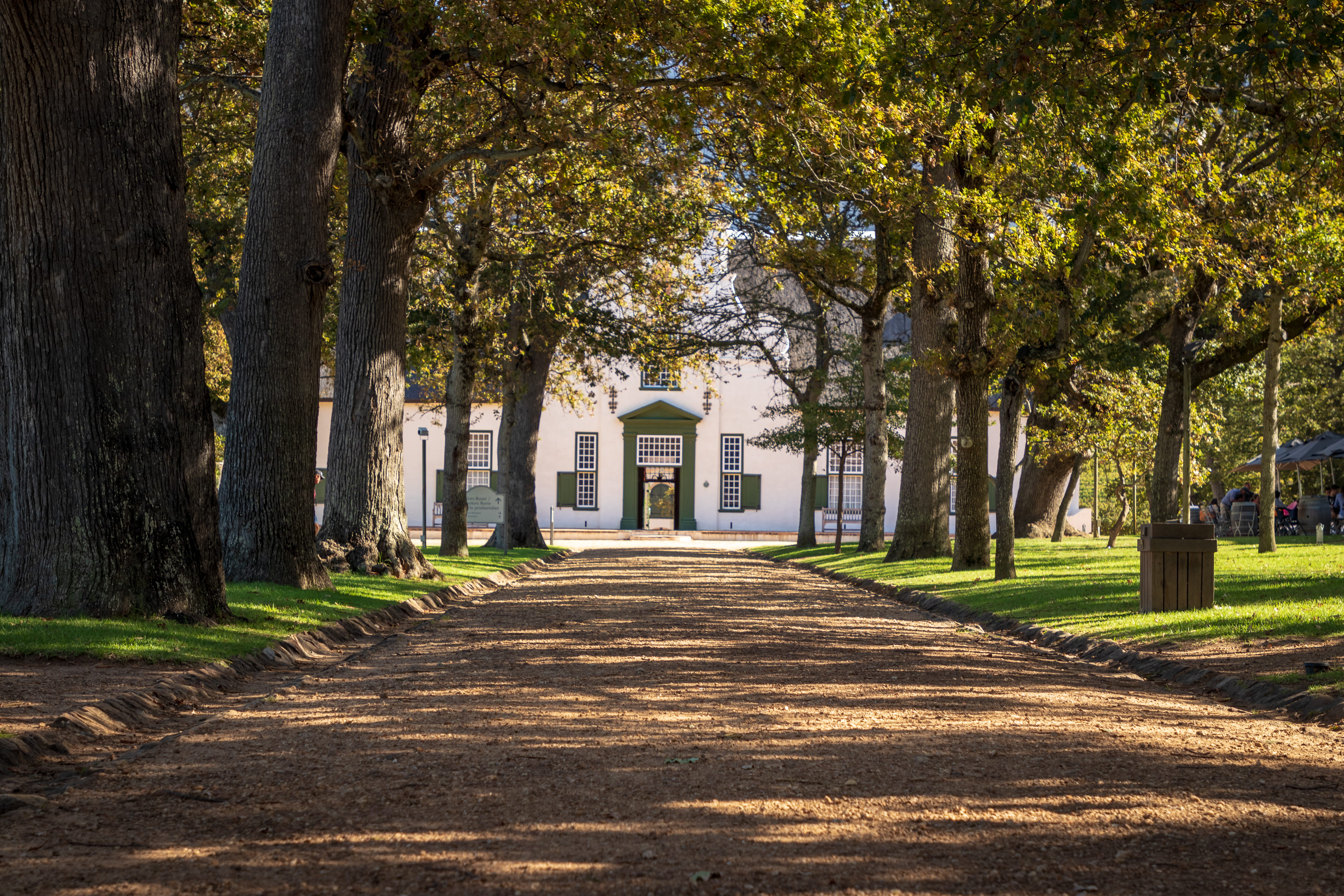 dirt road, architecture, 5K, tree, villa, shadow, residential district, path, person, growth, sunlight, the way forward, trees, ground, field, tree trunk, HD Wallpaper
