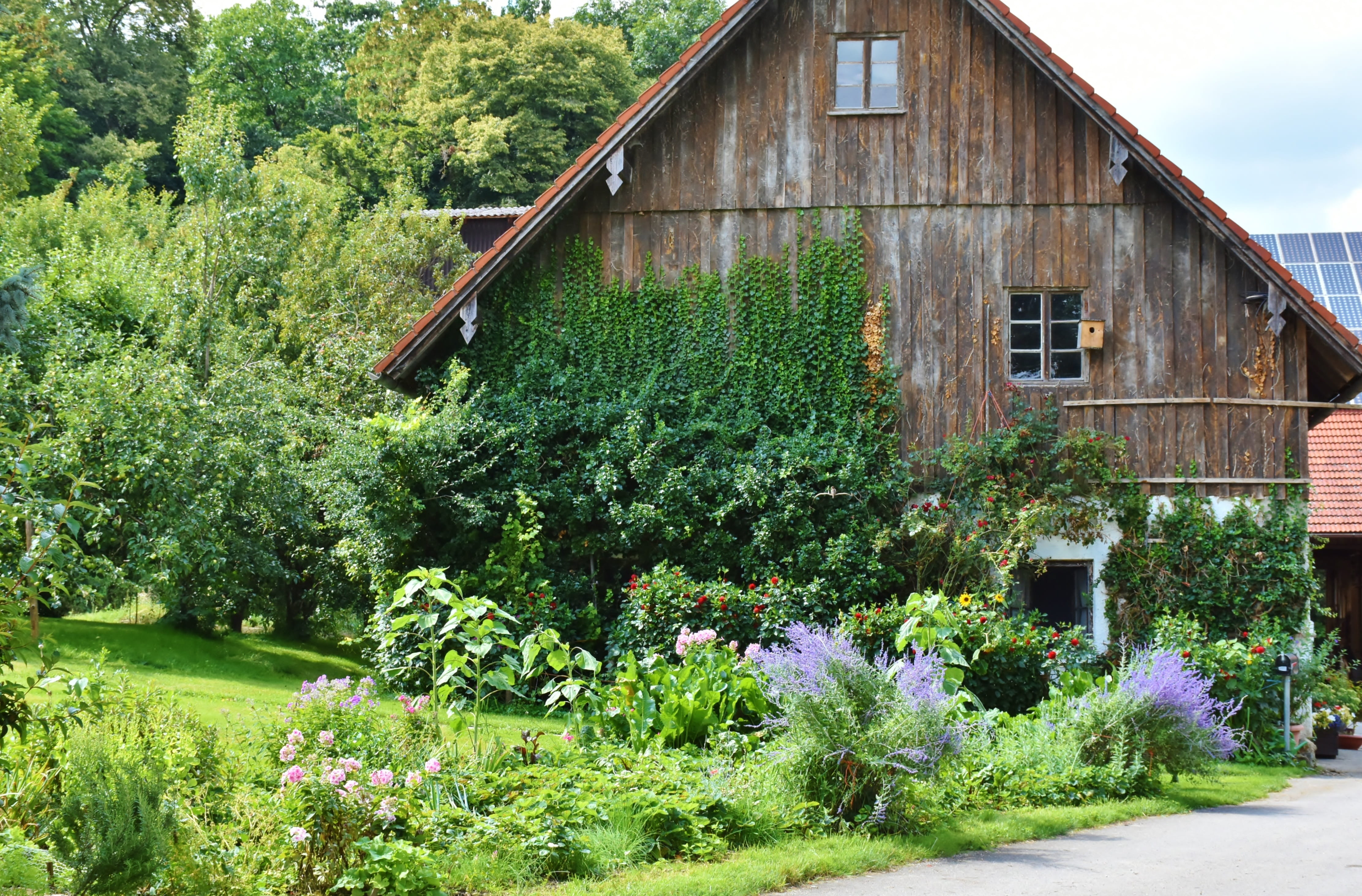 garden, beauty in nature, building exterior, daylight, yard, residential district, plants, land, nature, farmhouse, no people, lawn, windows, growth, flowering plant, HD Wallpaper
