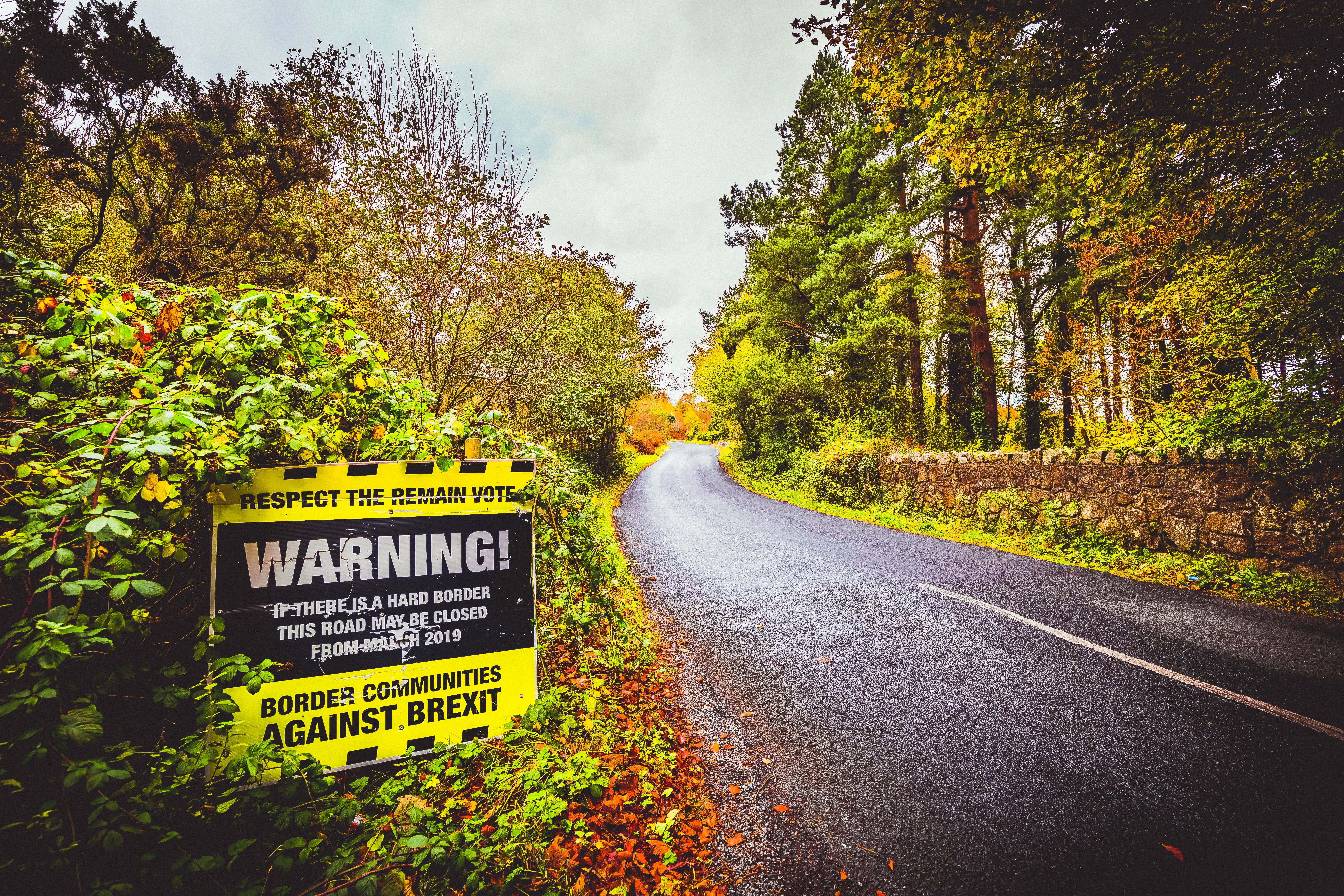 5K, leaf, tarmac, dirt road, curve, information sign, communication, nature, day, text, white, western script, guidance, yellow, outdoors, information, HD Wallpaper