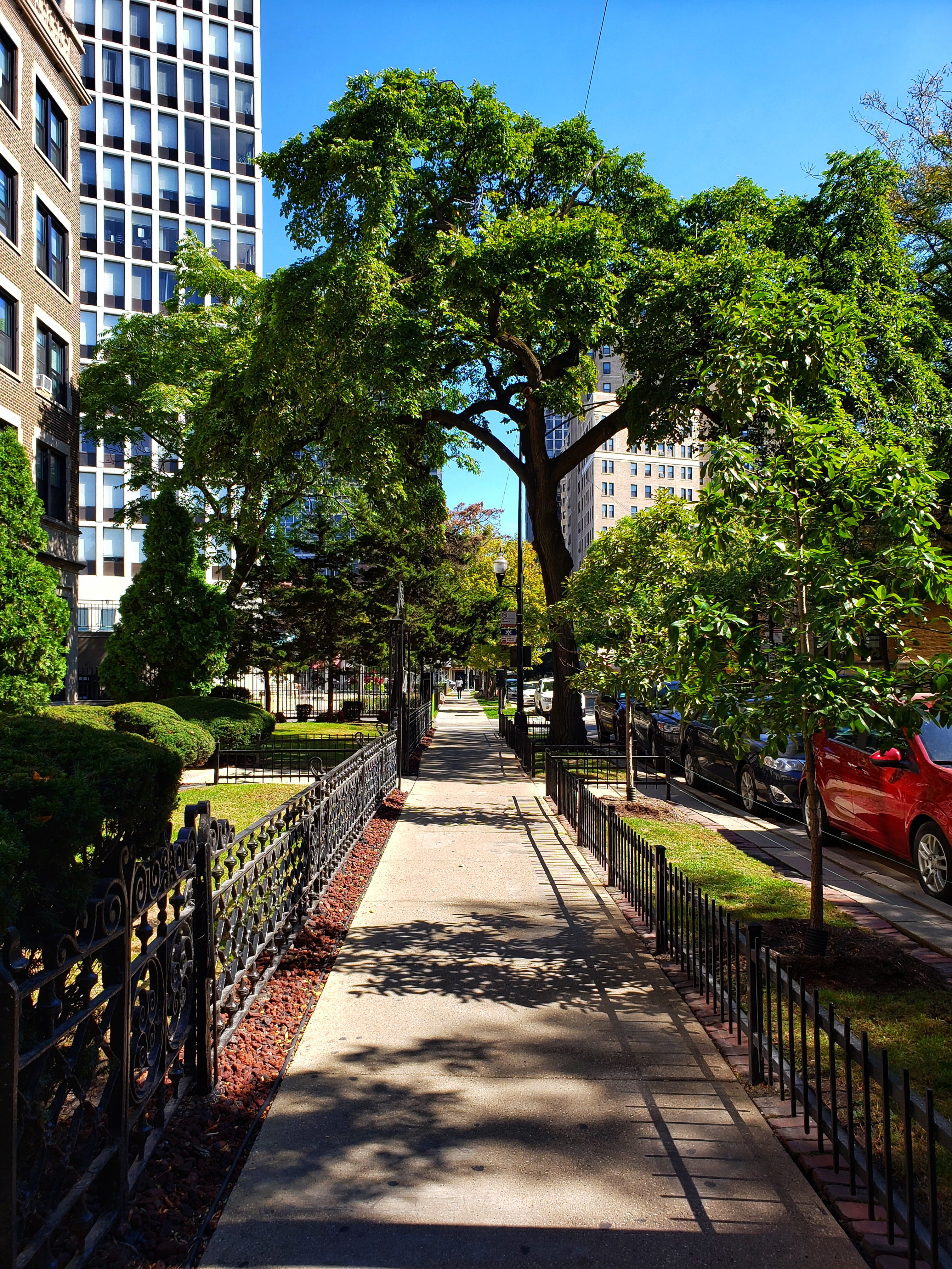 tarmac, railing, garden, red, pavement, plant, office building exterior, the way forward, built structure, bridge, parked, handrail, building, sidewalk, Phone HD Wallpaper