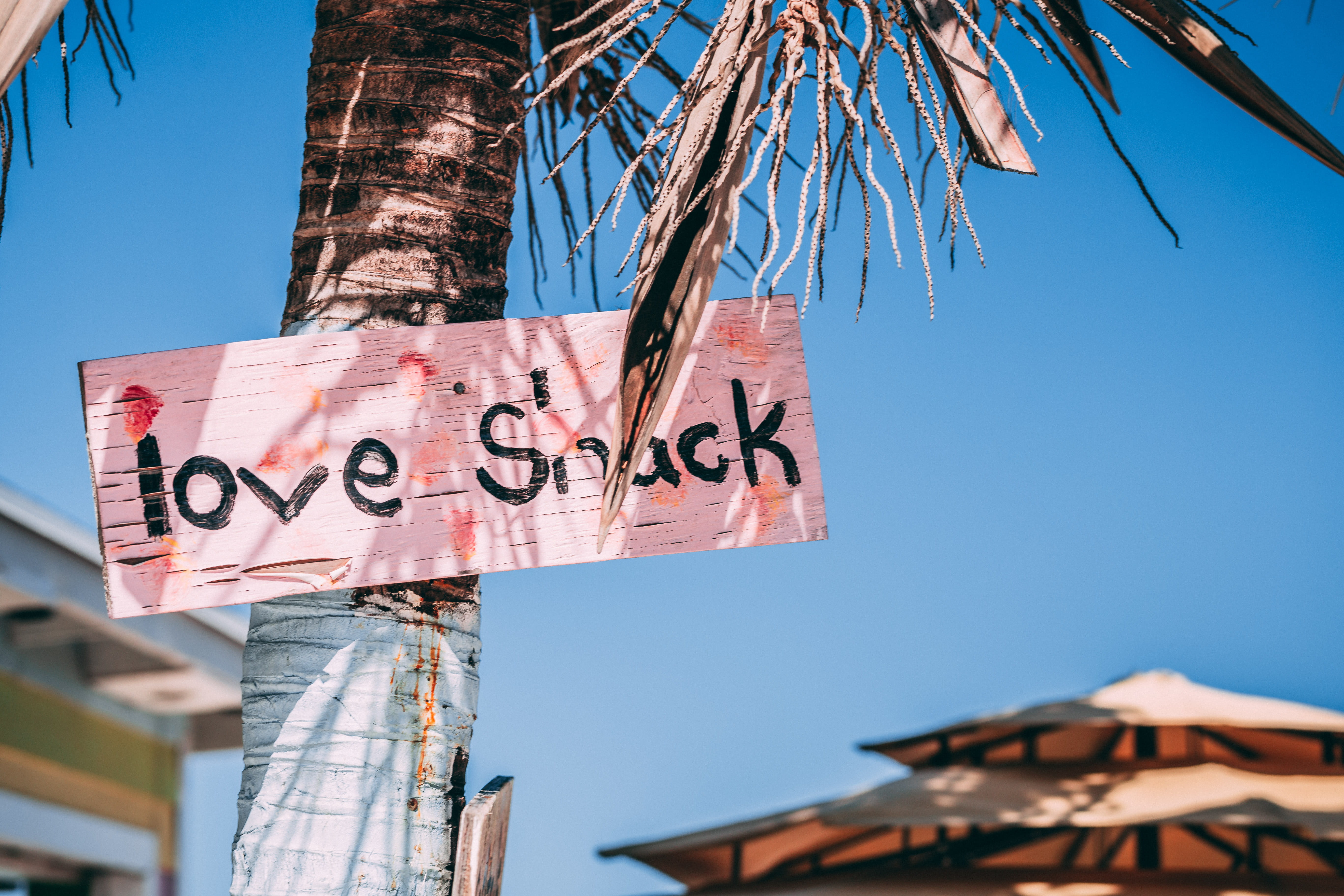 arrow symbol, palm tree, guidance, day, nature, information sign, scenic, love, text, palm leaves, signage, pink sign, bright, daylight, sign, 5K, resort, HD Wallpaper