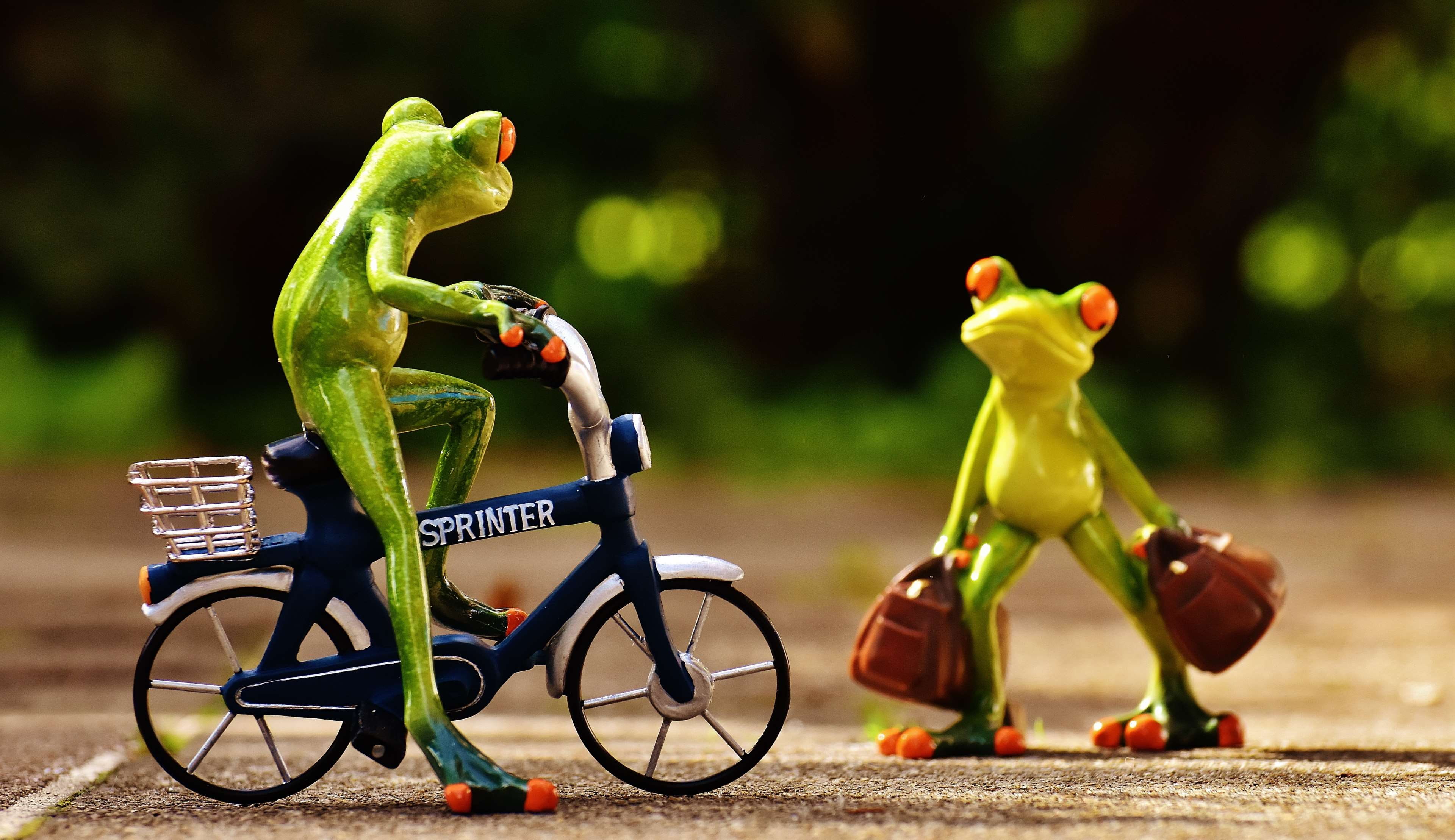 nature, animals, toys, human representation, luggage, travel, figurine, creativity, full length, bike, bicycle, activity, 4K, motion, outdoors, toy, focus on foreground, HD Wallpaper
