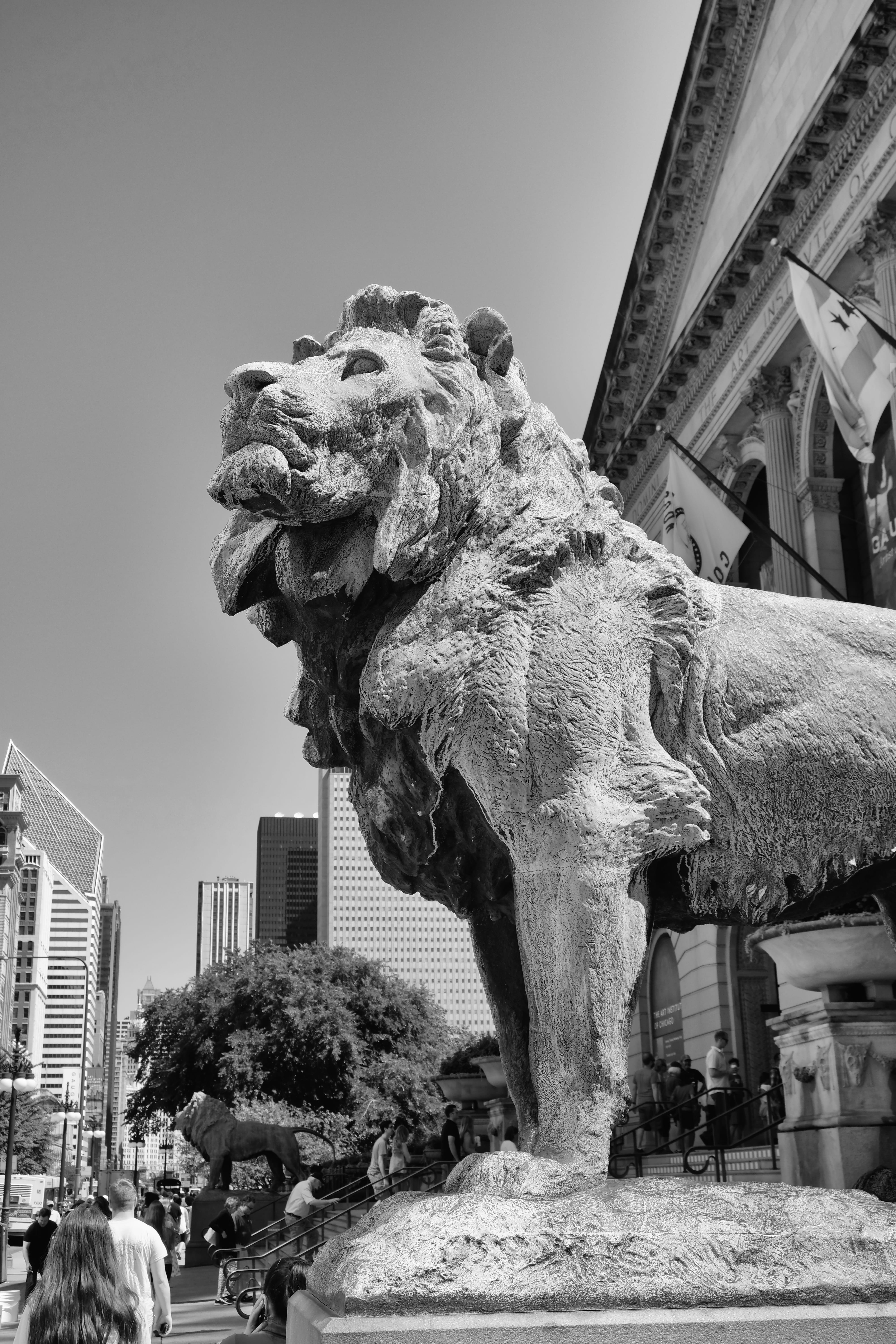 feline, art and craft, day, 5K, gargoyle, low angle view, lion - feline, architecture, building exterior, art, united states, sky, sculpture, chicago, Phone HD Wallpaper