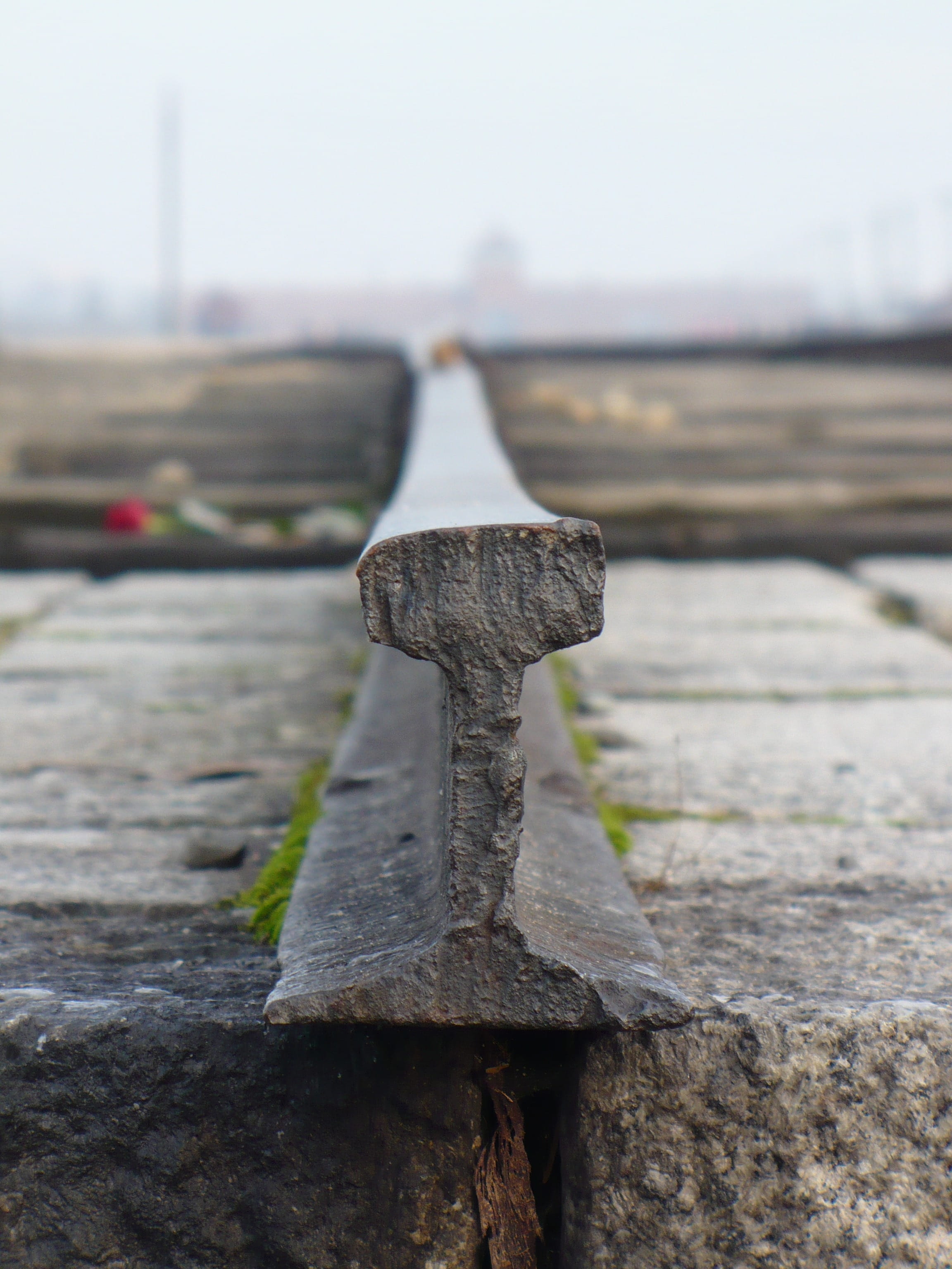 focus on foreground, clear sky, nail, metal, day, final stop, old, sky, close-up, solid, Birkenau, wood - Material, girder, Stop, built structure, pattern, Phone HD Wallpaper