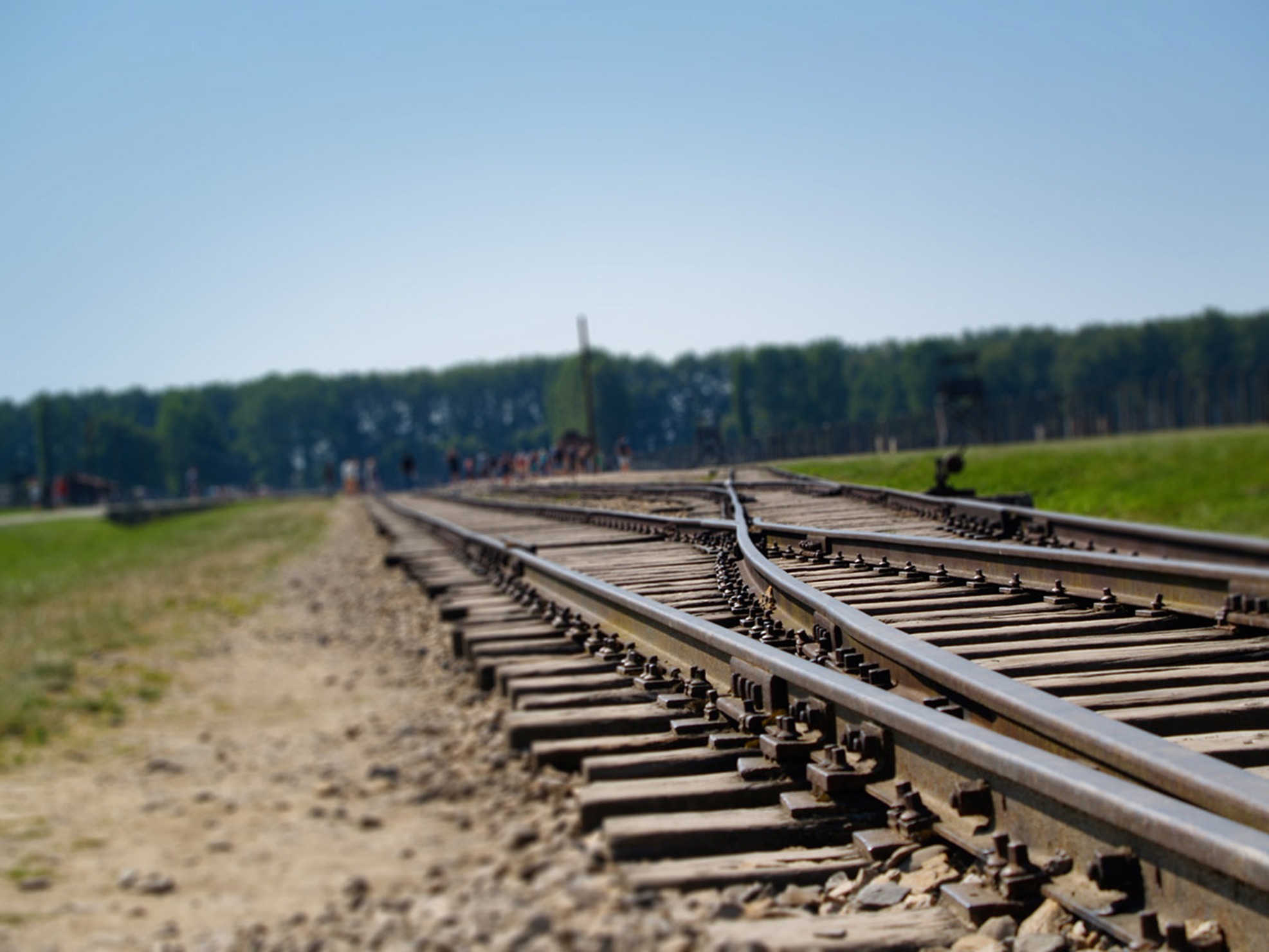 prison, day, plant, auschvitz - birkenau, sky, outdoors, train, clear sky, track, concentration camp, railroad tracks, direction, no people, gravel, land, HD Wallpaper