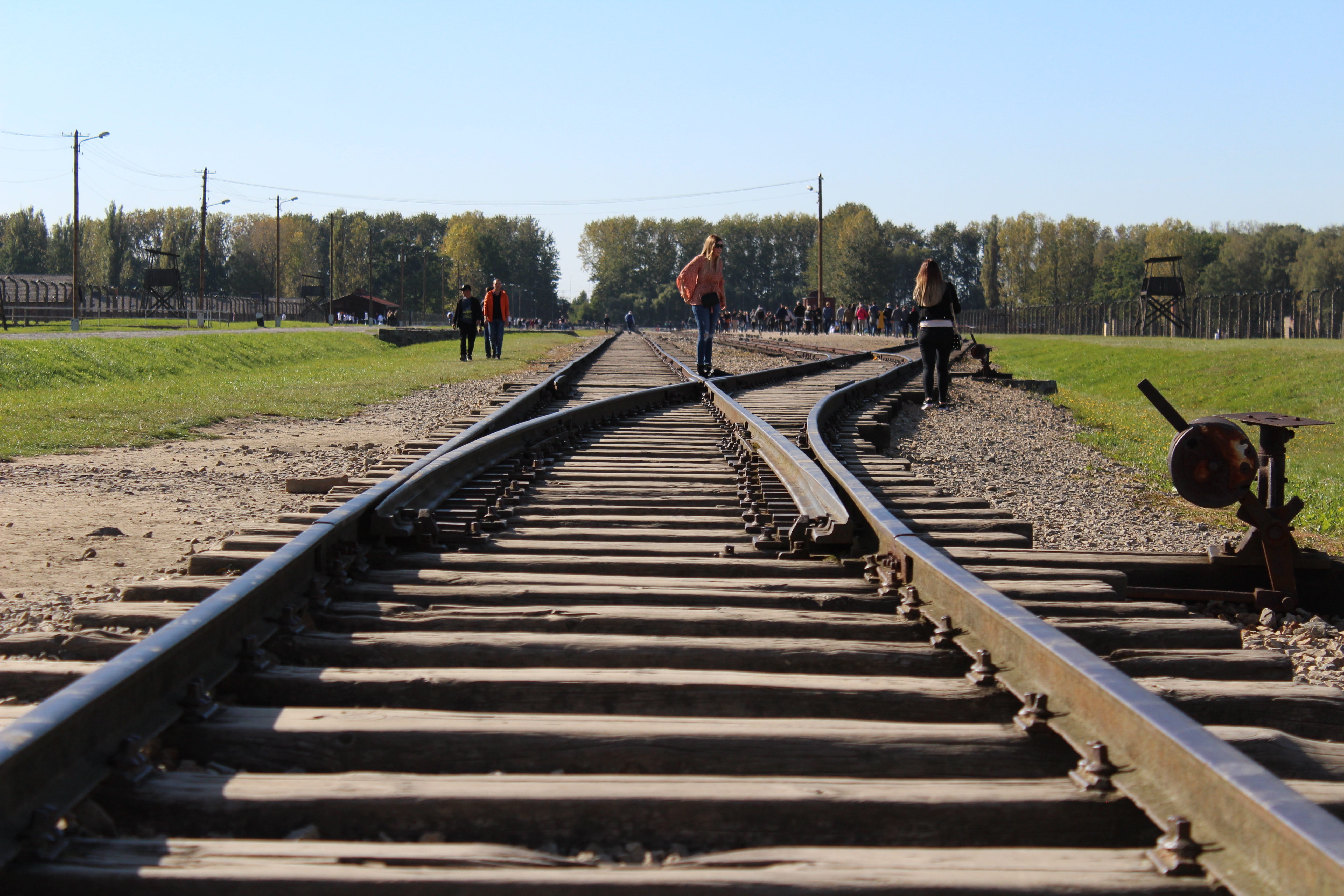 jews, metal, concentration, real people, clear sky, birkenau, direction, rail transportation, sky, binary, tree, train, diminishing perspective, large group of people, HD Wallpaper