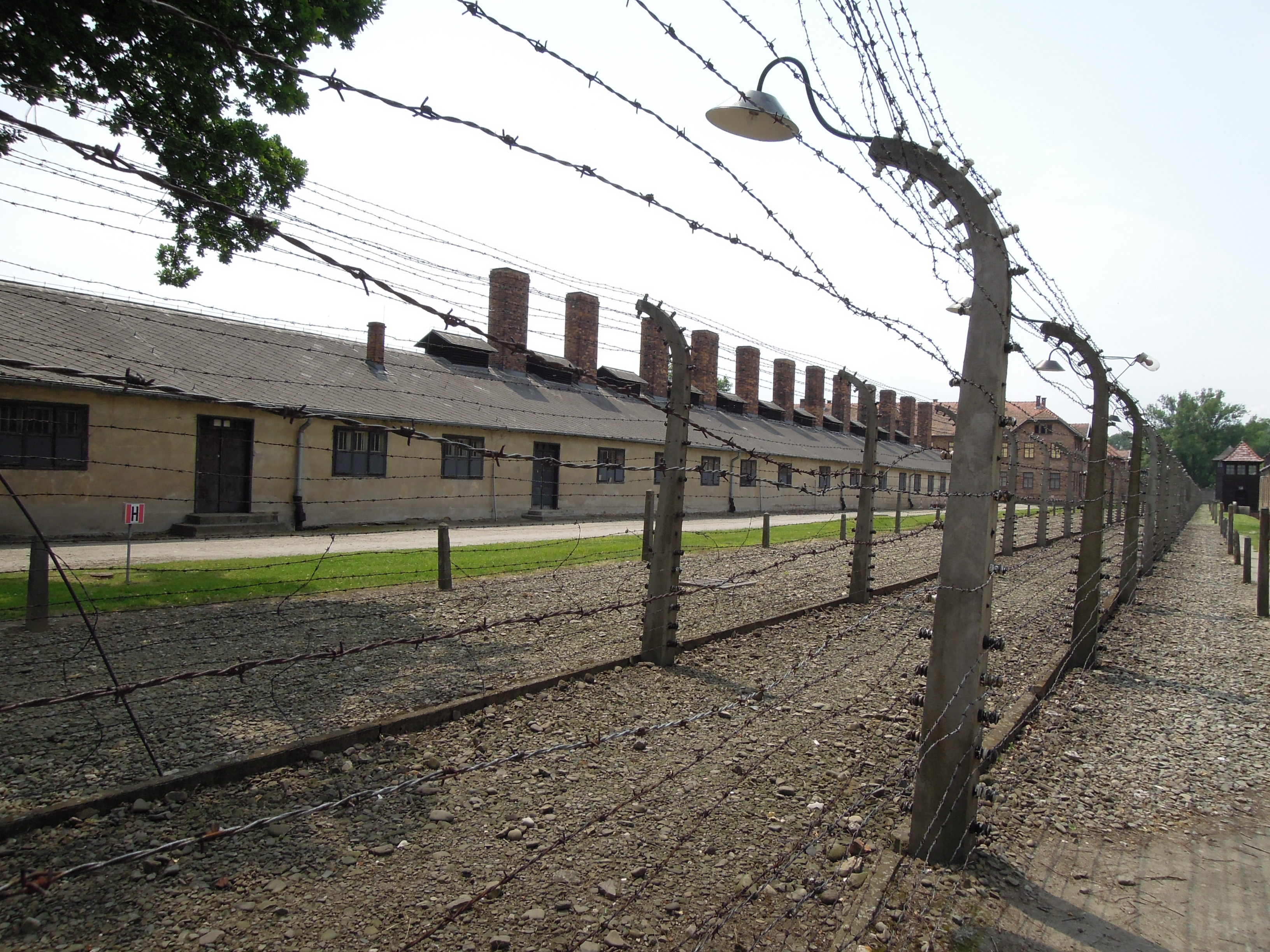 boundary, building exterior, built structure, architecture, nature, building, clear sky, protection, footpath, barbed wire, prison, outdoors, krakow cracow, HD Wallpaper