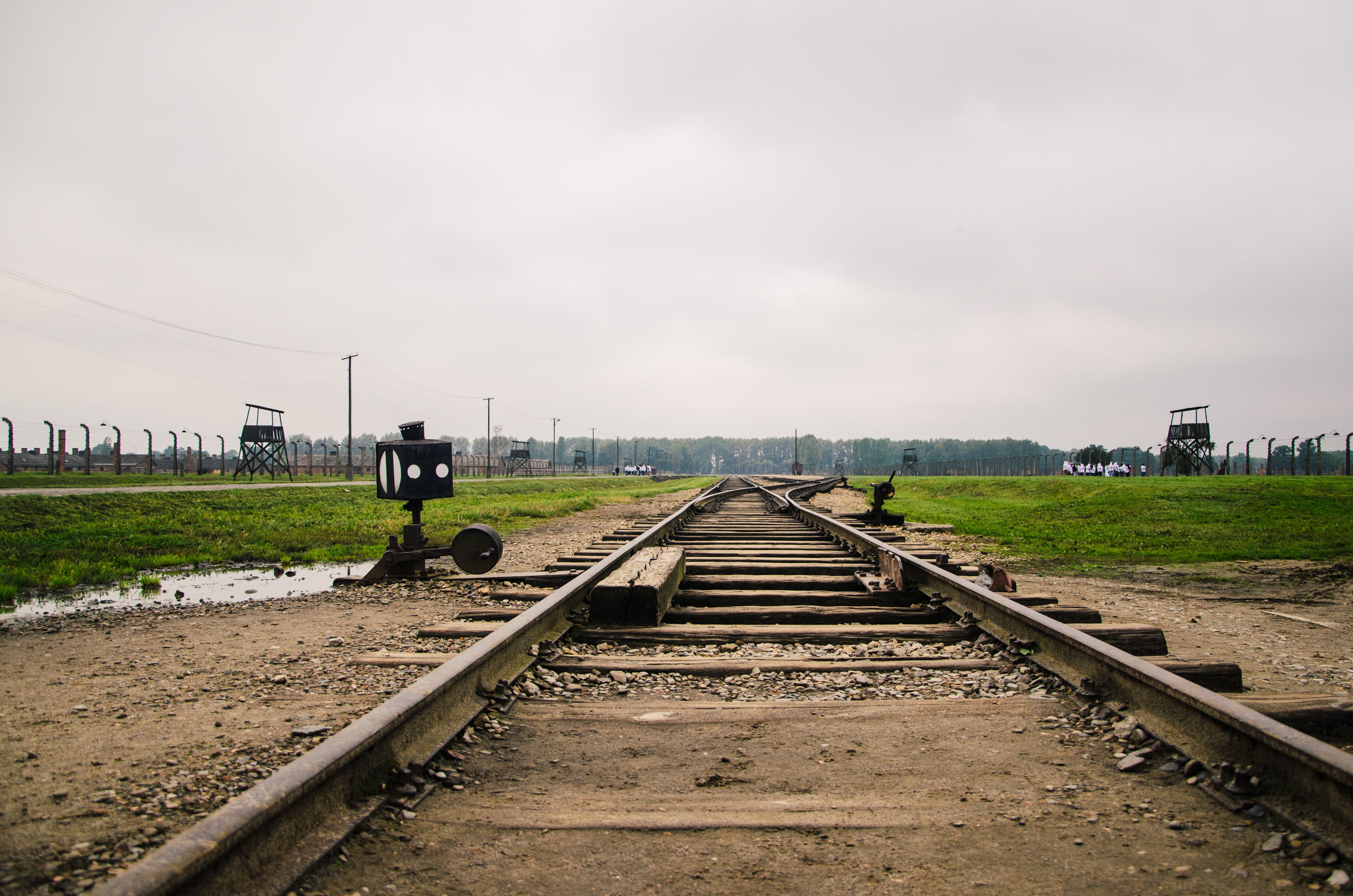 grass, outdoors, railroad car, auschwitz, focus, station, cloud - sky, selective, rail, poland, day, vanishing point, gravel, sky, the way forward, diminishing perspective, HD Wallpaper