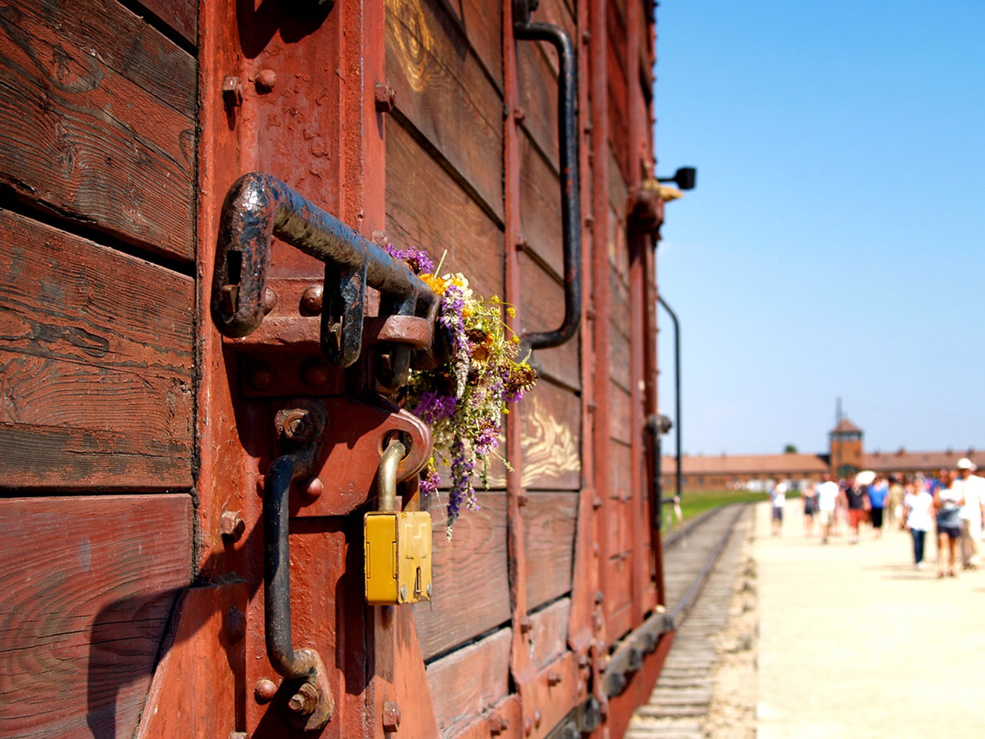 prison, 1080P, flowering plant, incidental people, auschvitz - birkenau, sunlight, metal, outdoors, train, old, concentration camp, built structure, sky, HD Wallpaper