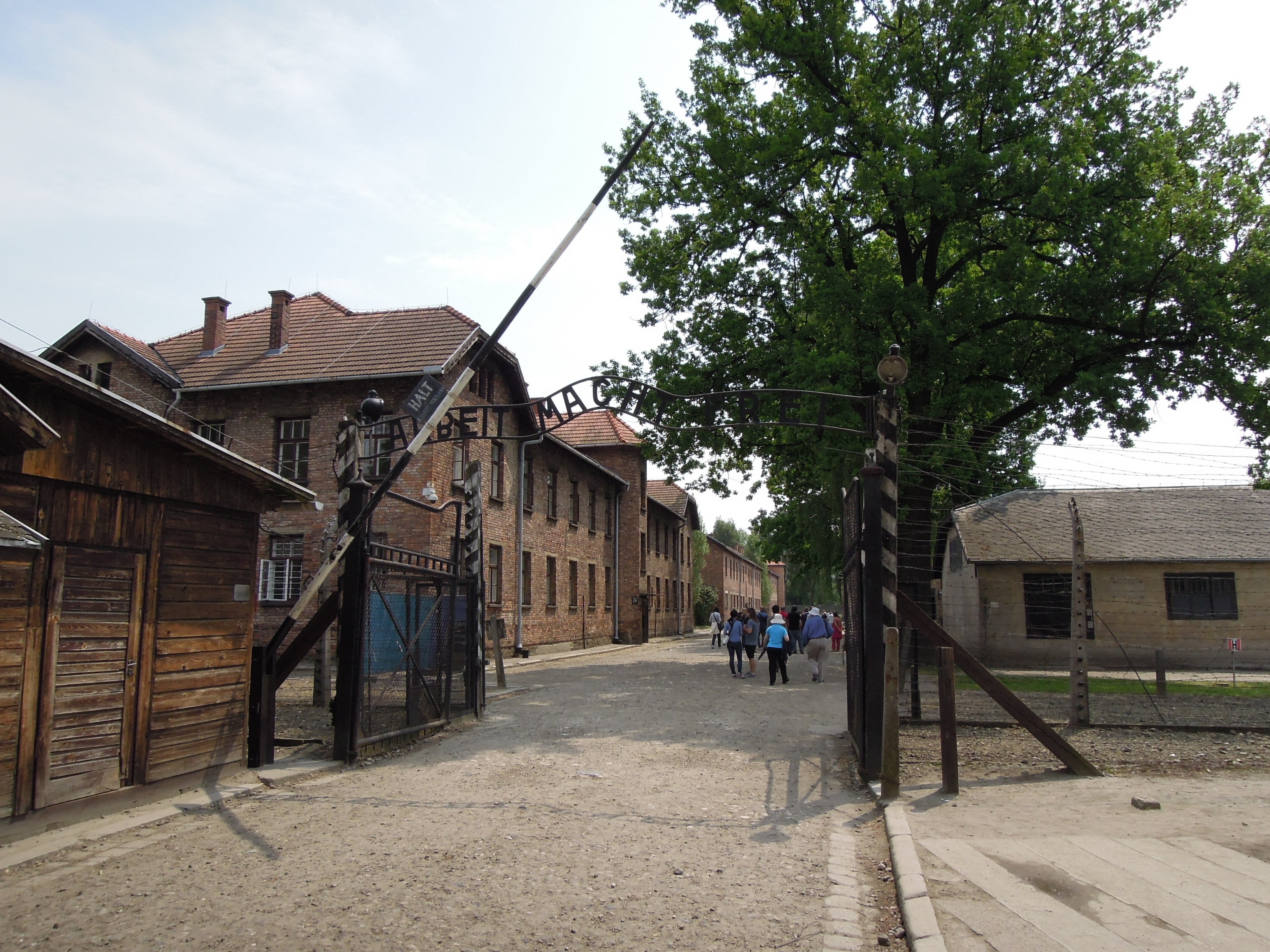 polish, outdoors, full length, nature, real people, city, sky, 2K, incidental people, building, building exterior, architecture, tree, wooden building, HD Wallpaper
