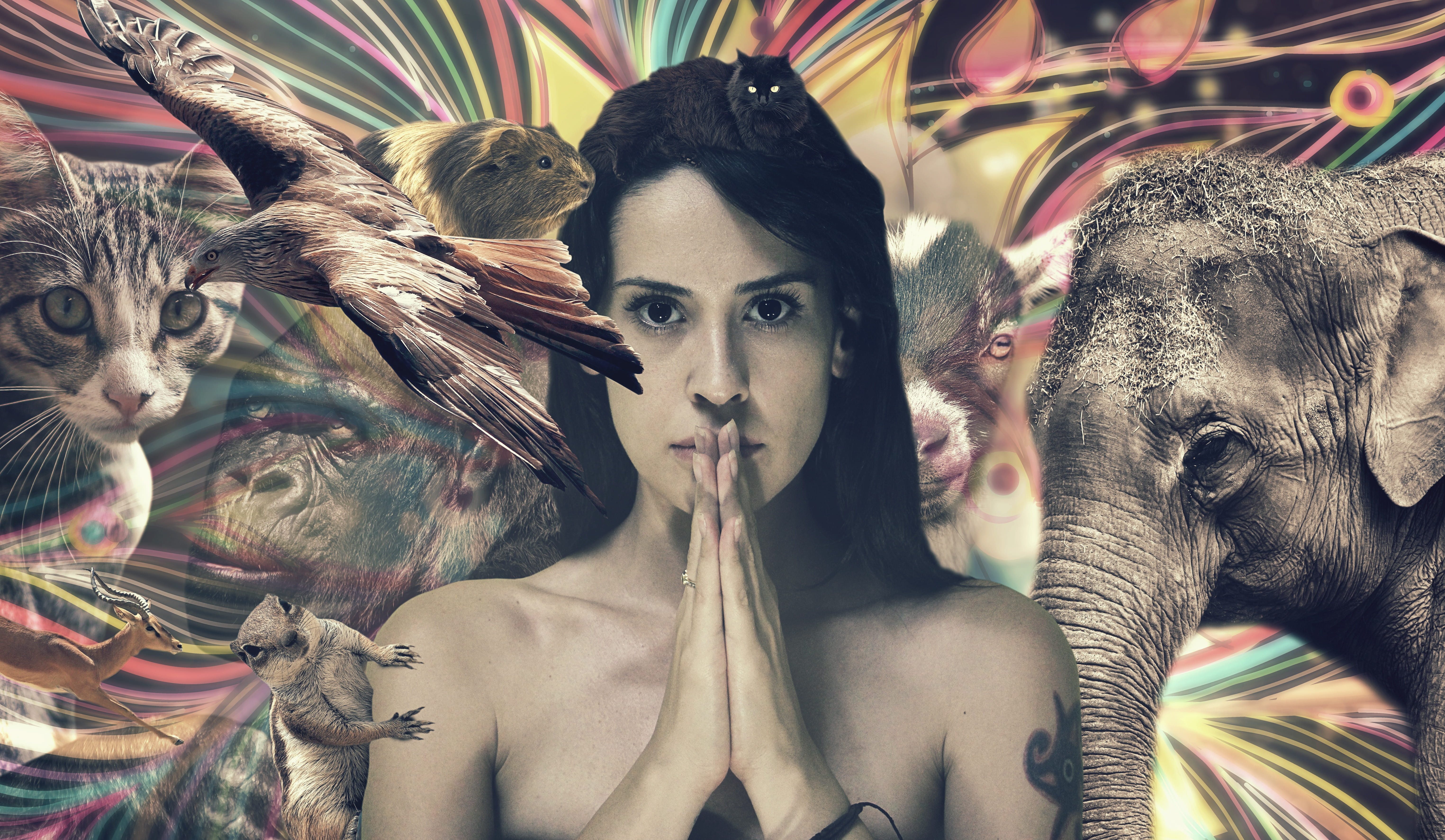 looking at camera, mouse, headshot, digital composite, female, cosmos, animals, art and craft, animal wildlife, body paint, forest, indoors, front view, HD Wallpaper