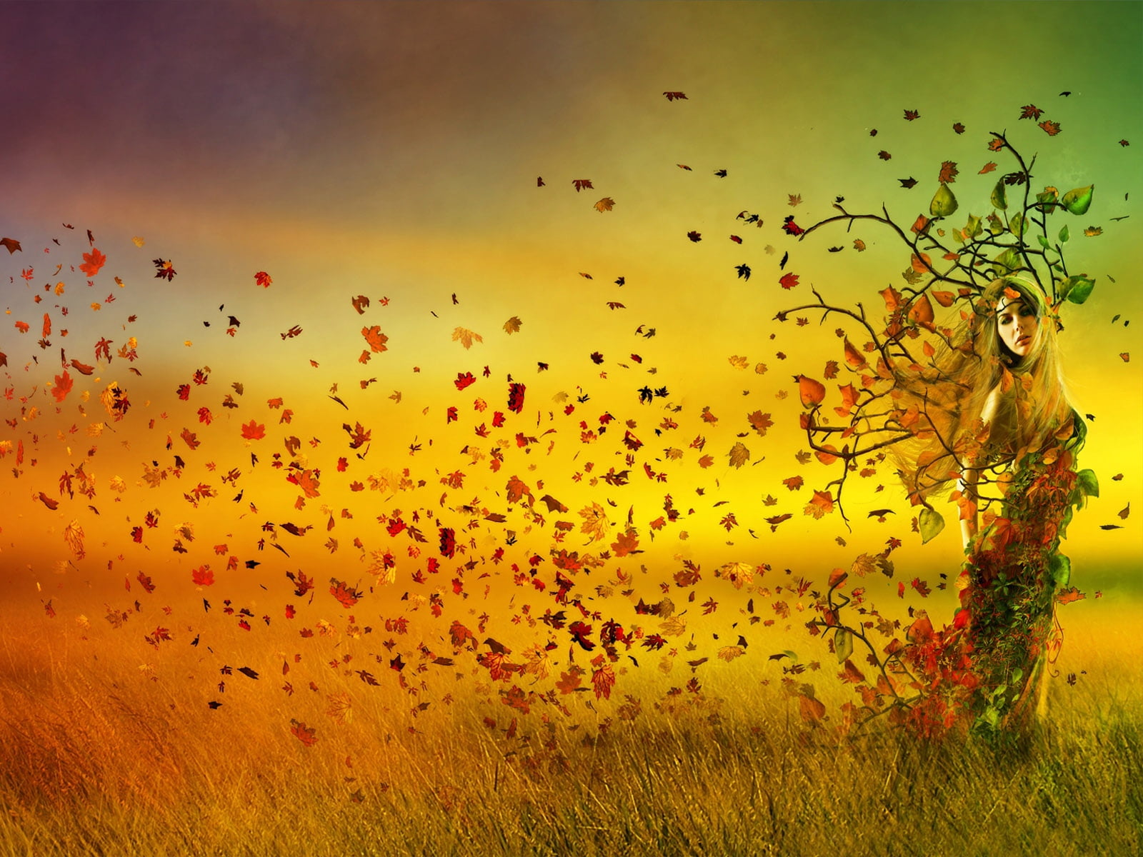 standing, springtime, flock of birds, happiness, sunset, beauty, dusk, large group of animals, orange Color, girl, plant, flying, 720P, yellow, grass, HD Wallpaper