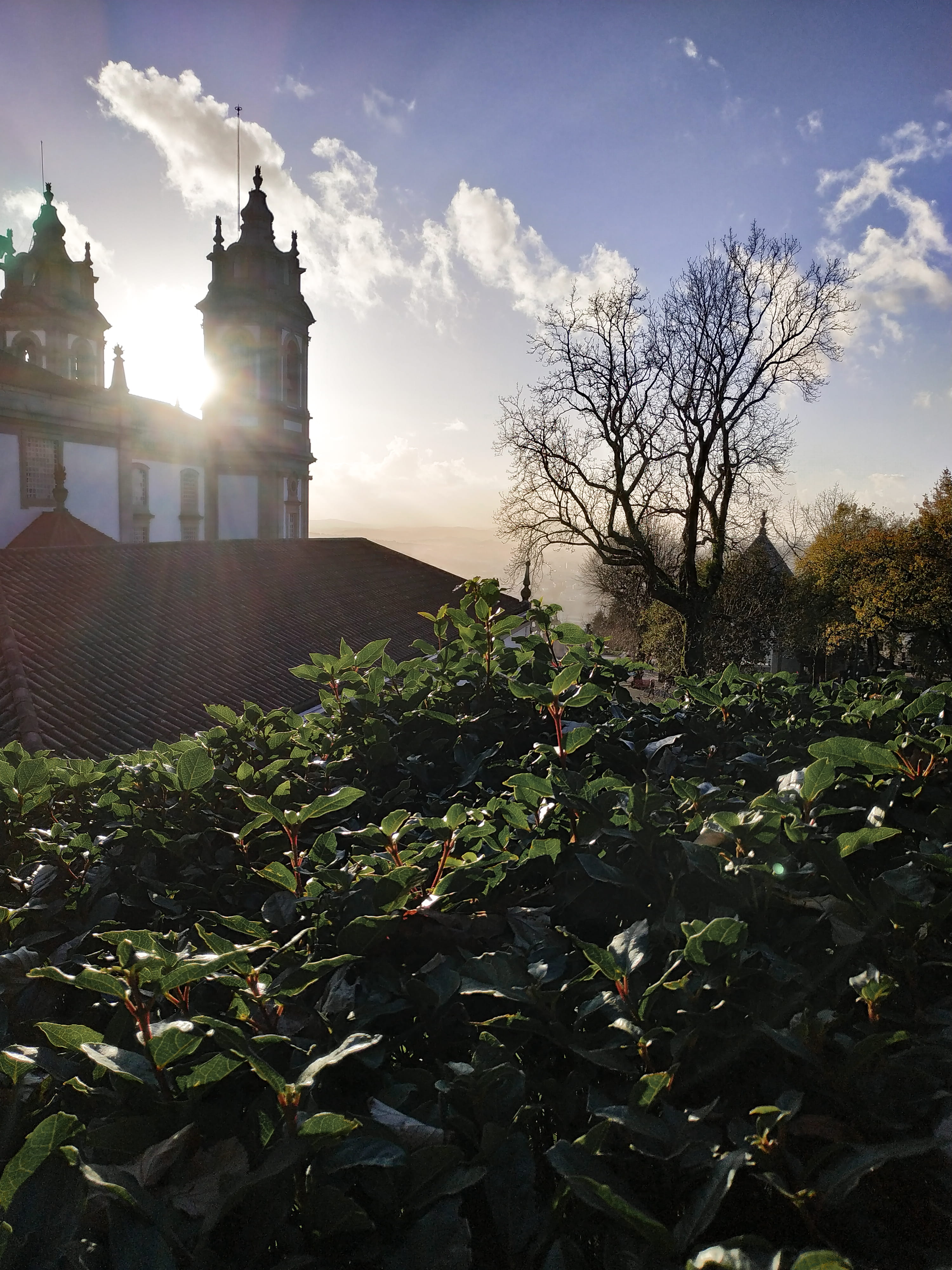 history, green, nature, no people, church, light, building, outdoors, 4K, bom jesus do monte, europe, sunlight, plant, tree, religion, flare, leaf, growth, Phone HD Wallpaper