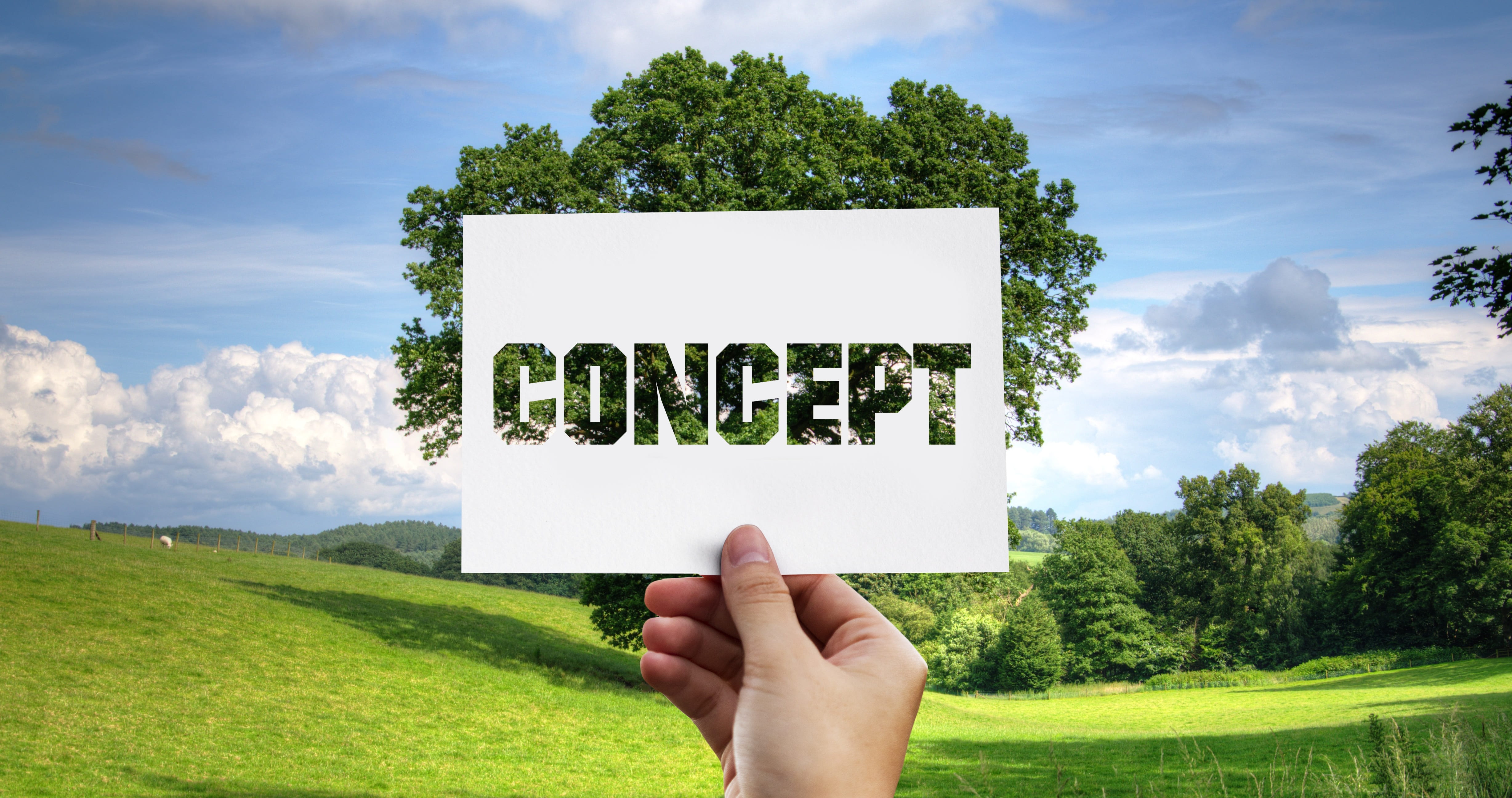 technology, copy space, paper, market, business, vision, success, planning, method, showing, company, online, analysis, environmental protection, concept, HD Wallpaper