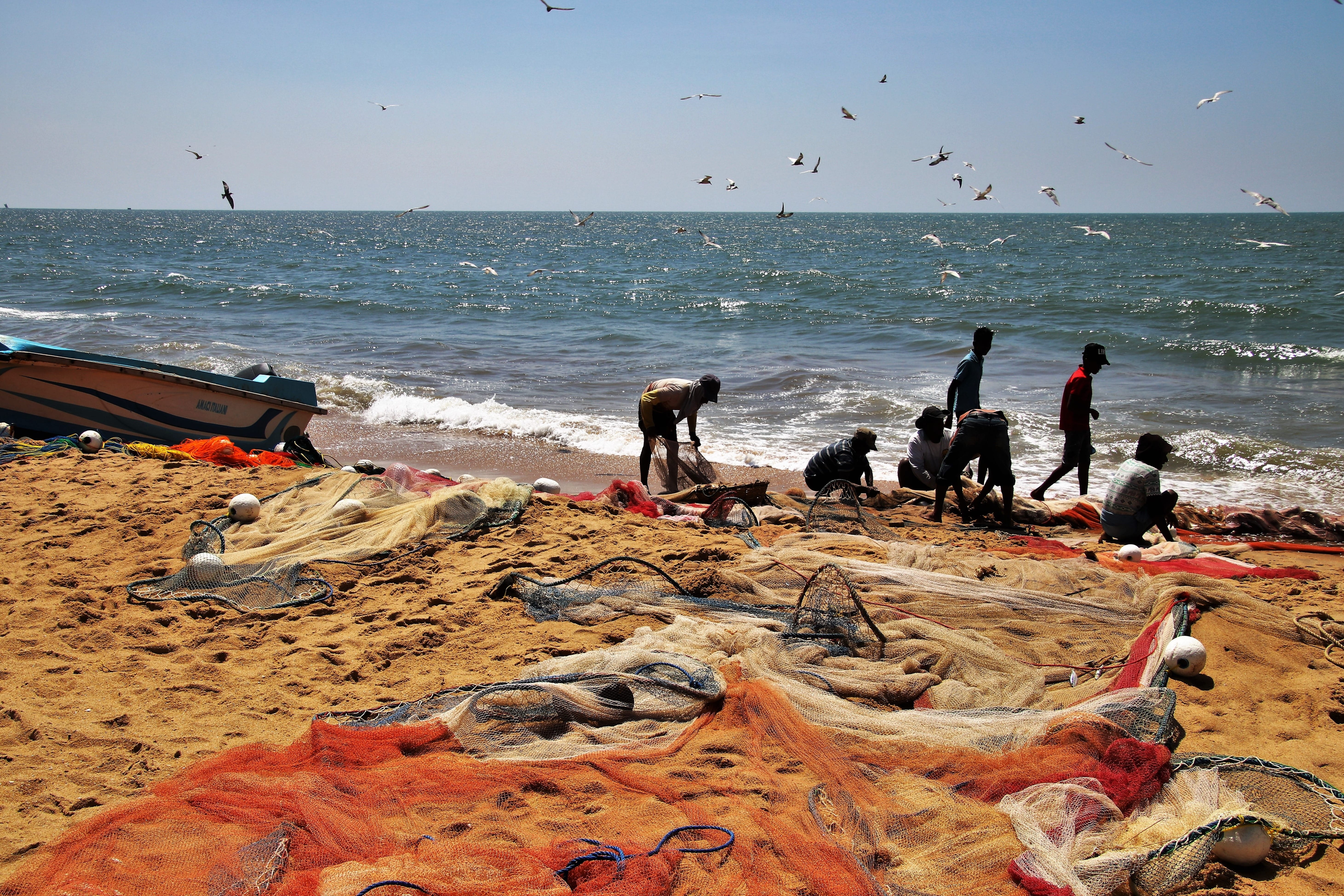 vertebrate, fisherman, sand, sandy, network, traffic, outdoors, scenery, color, landscape, the person, sky, group, 5K, the seagulls, sri lanka, holidays, HD Wallpaper