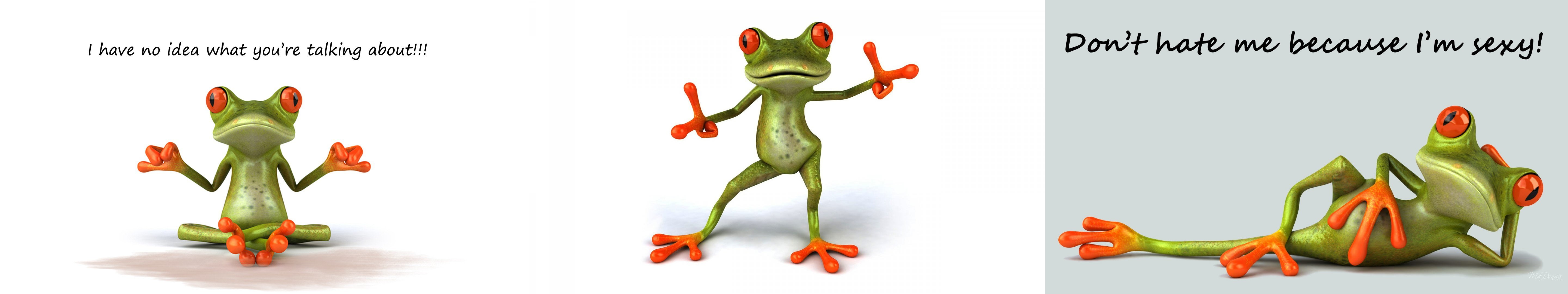 mdr, amusant, sexy, multiple, comic, humour, multi, grenouille, tripple, fun, 5K, lol, frog, funny, drole, monito, comique, screen, HD Wallpaper