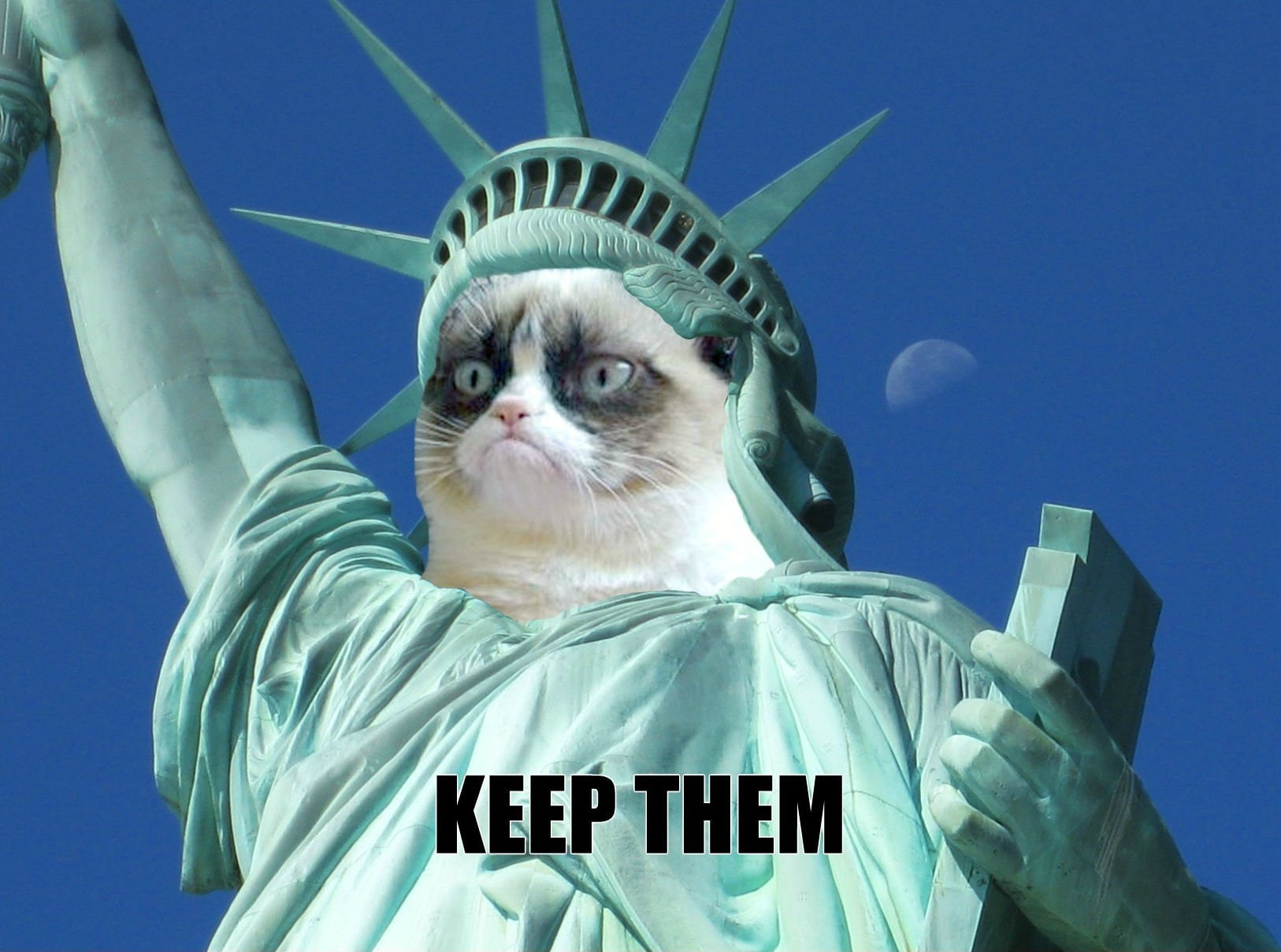 quote, meme, cat, 720P, grumpy, humor, funny, HD Wallpaper