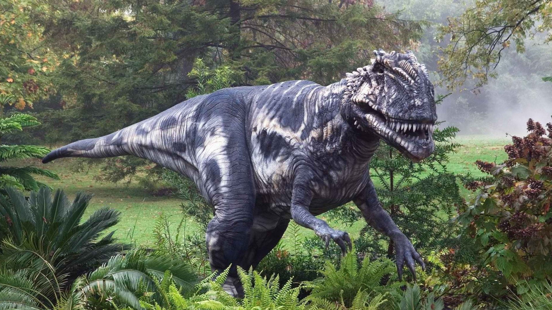 animals in the wild, animal themes, tree, Tyrannosaurus Rex, Animal, Dinosaur, herbivorous, field, 1080P, growth, no people, one animal, domestic animals, HD Wallpaper