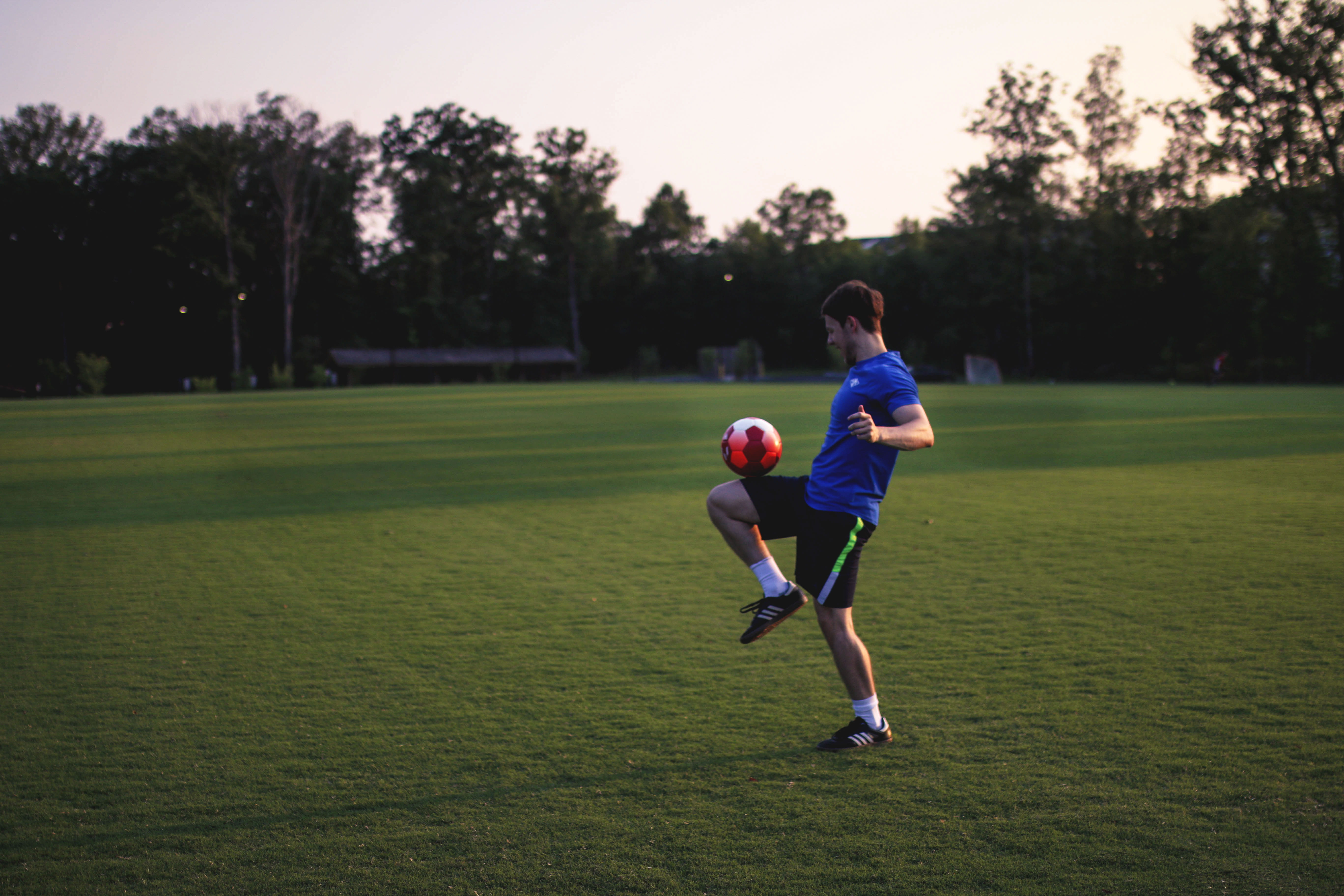 boys, grass, tree, pitch, boy, trick, 5K, adidas, plant, sport, playing, casual clothing, shorts, running, full length, motion, males, leisure activity, HD Wallpaper