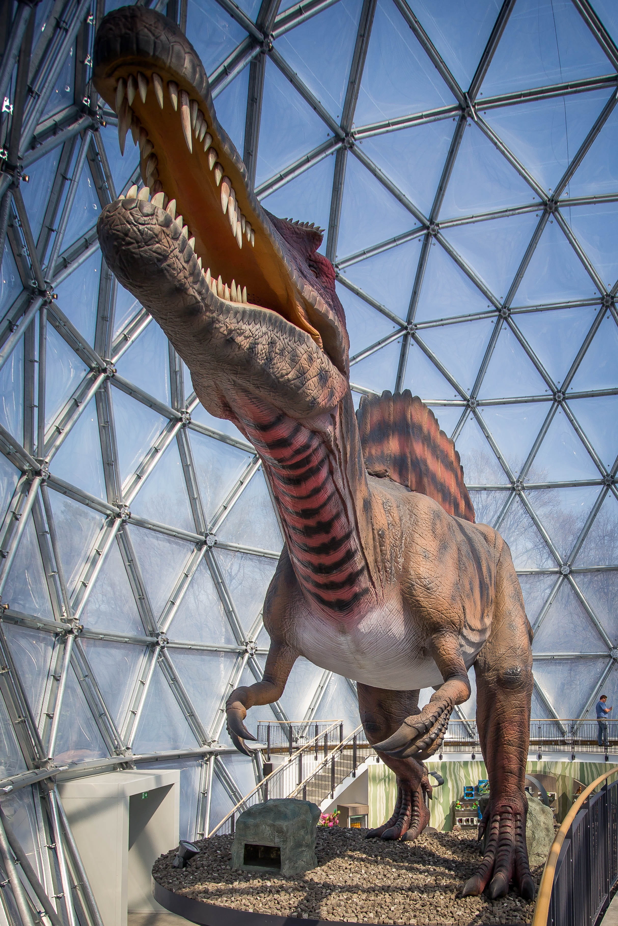indoors, Giant, no people, carnivores, sauropod, giant lizard, Dinosaur, Reptile, pattern, art and craft, sculpture, animal themes, vertebrate, Lizard, Phone HD Wallpaper