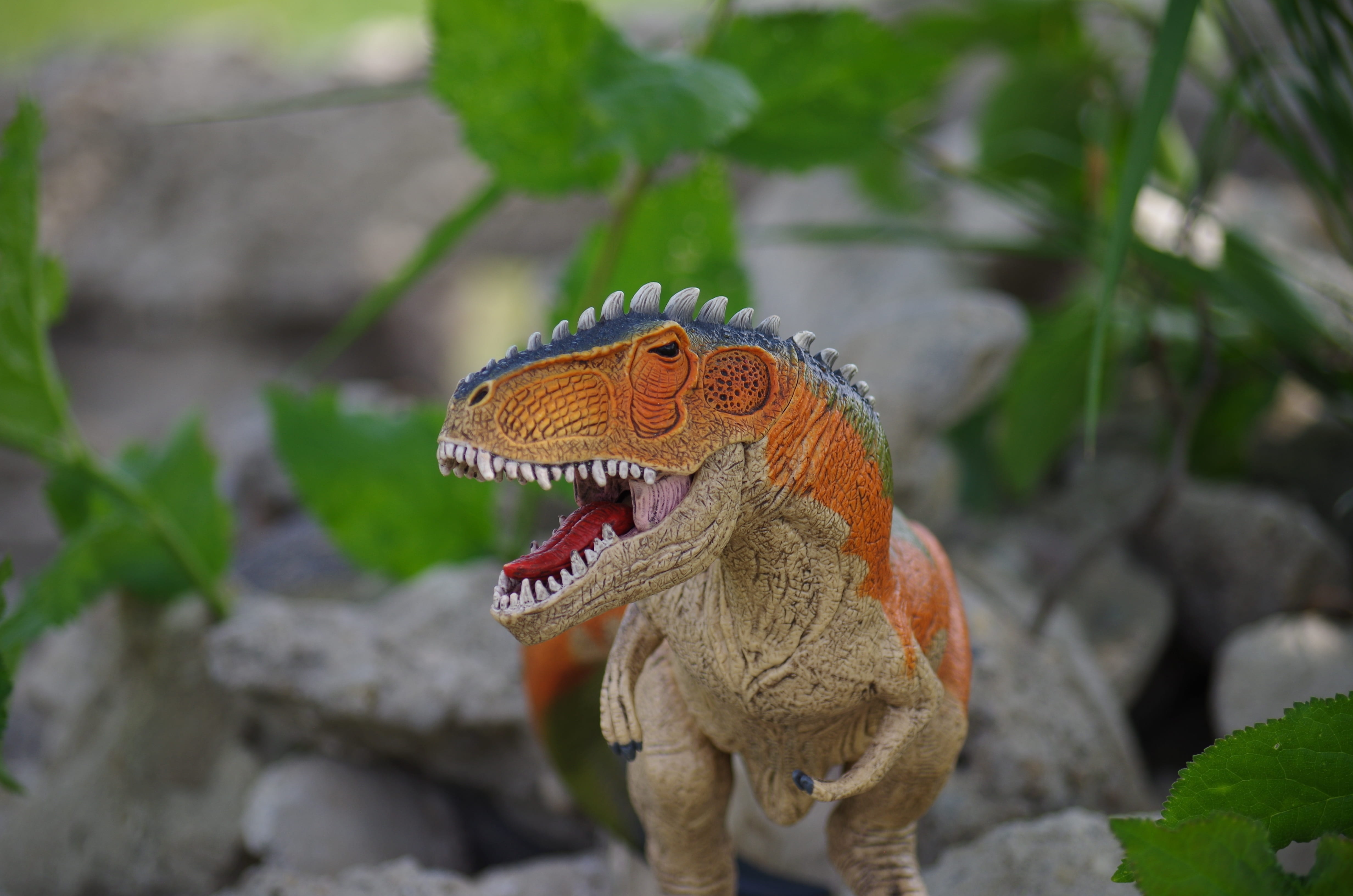 4K, rock, solid, gigantosaurus, reptile, dinosaur, animals in the wild, great, animal mouth, day, animal themes, animal wildlife, nature, mouth open, iguana, HD Wallpaper