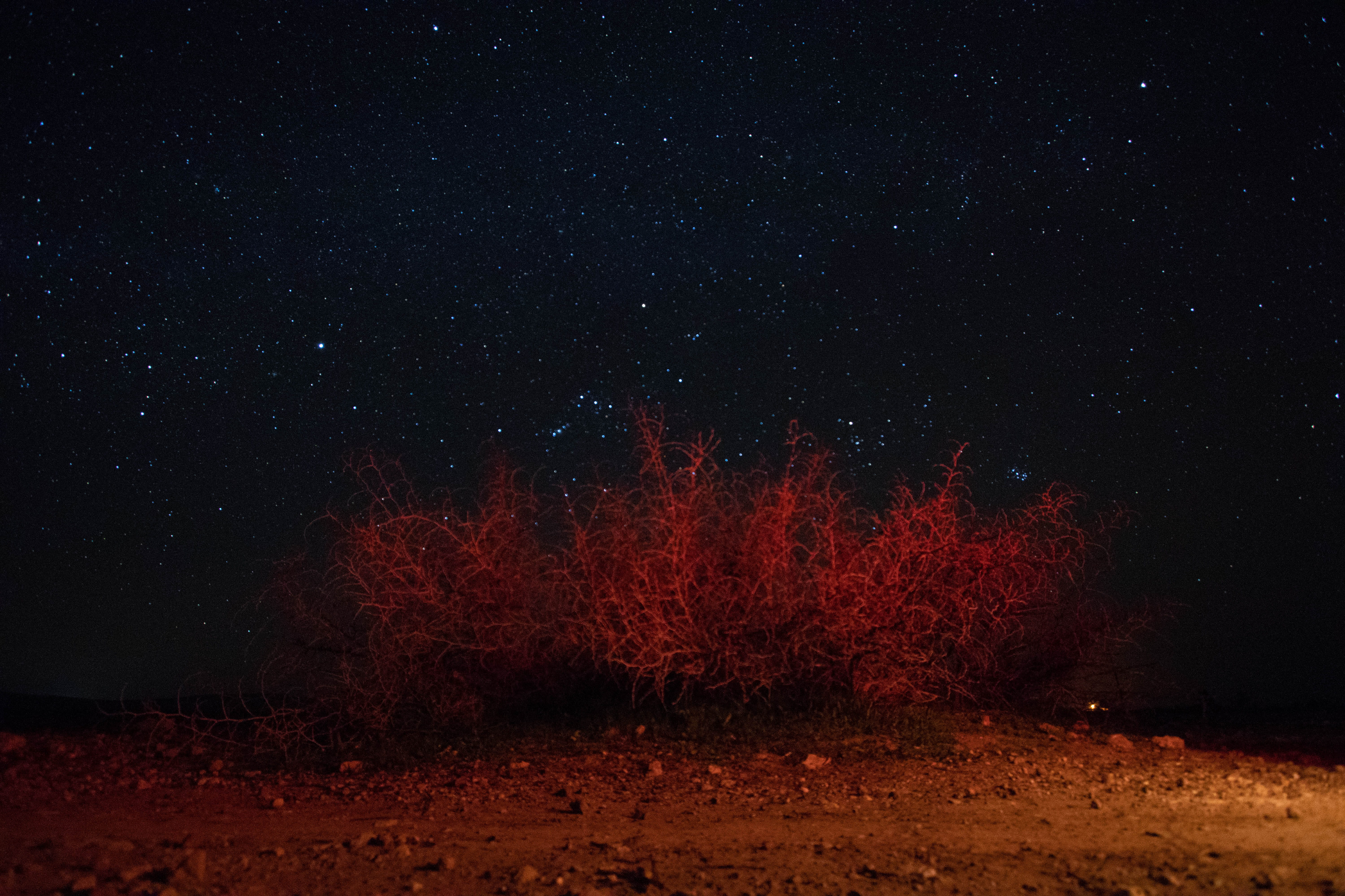 minimalist, astronomy, space, nature, tranquility, morocco, no people, astrophotography, plant, dirt, night, landscape, scenics - nature, light, environment, HD Wallpaper