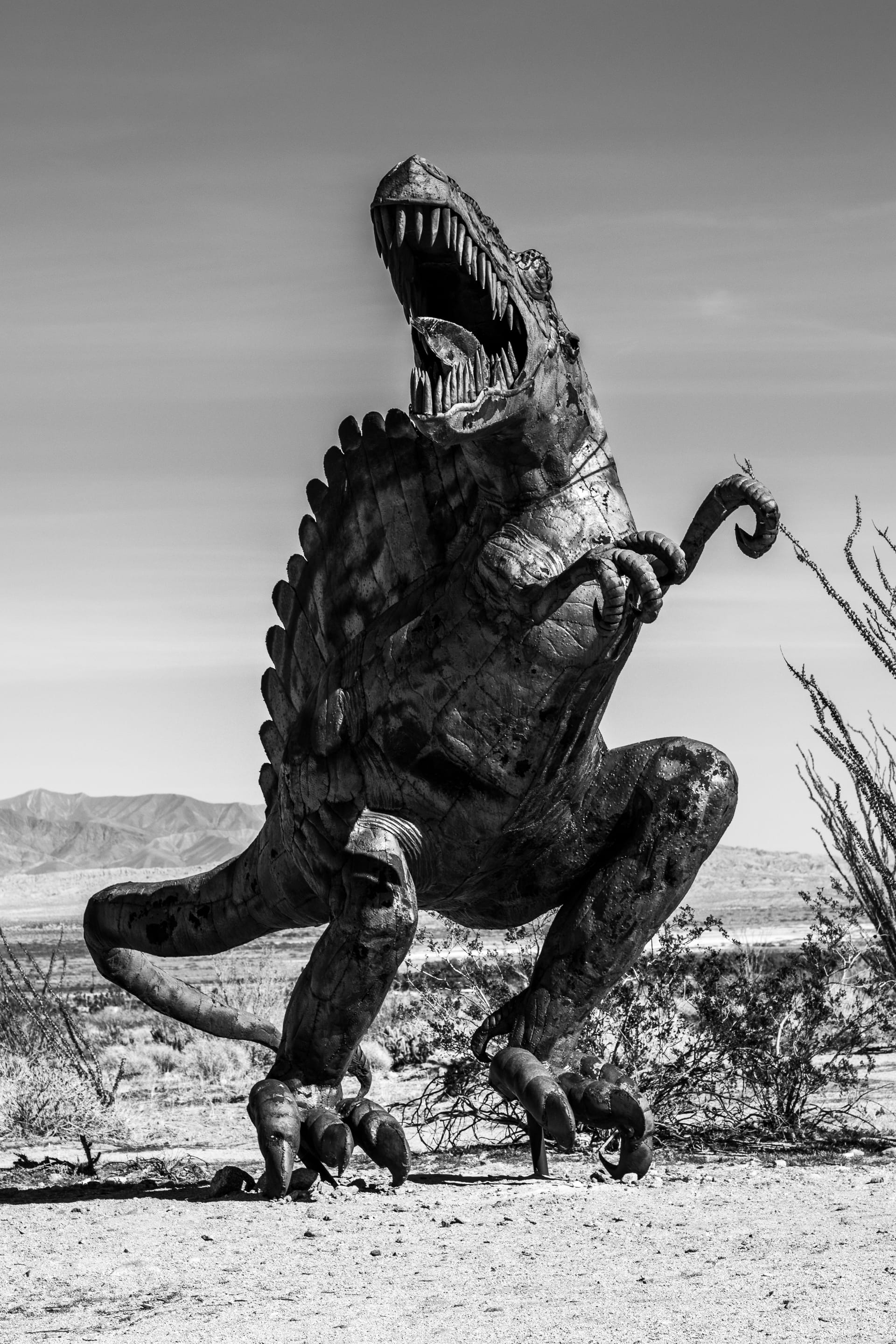 ground, representation, art, usa, galleta meadows, animal, no people, sculpture, grayscale, t-rex, outdoors, reptile, animal themes, creativity, art and craft, Phone HD Wallpaper