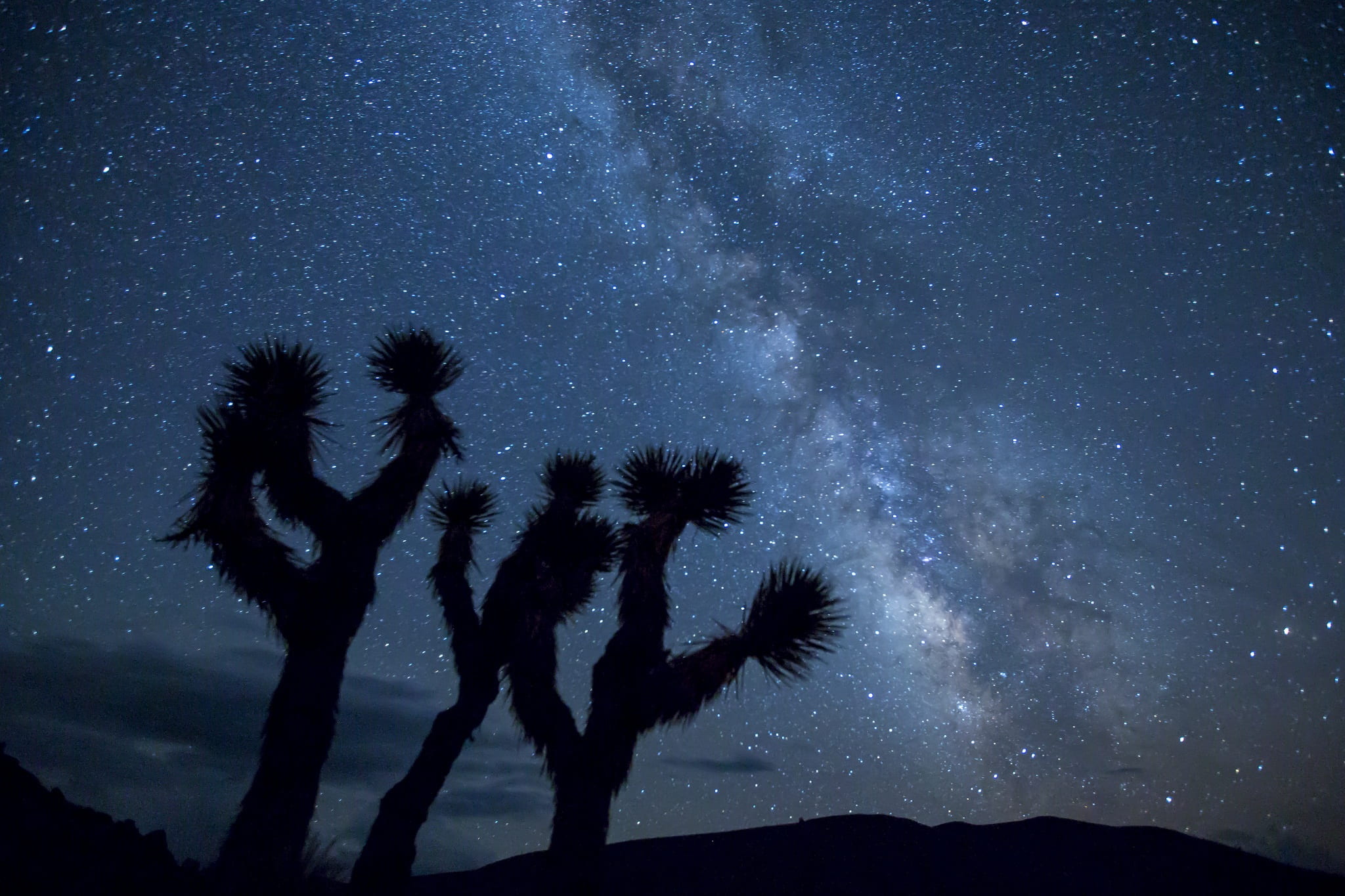 star field, photography, night, scenic, america, tree, space, wilderness, desert, tranquility, growth, beauty in nature, milky way, silhouette, nebula, HD Wallpaper