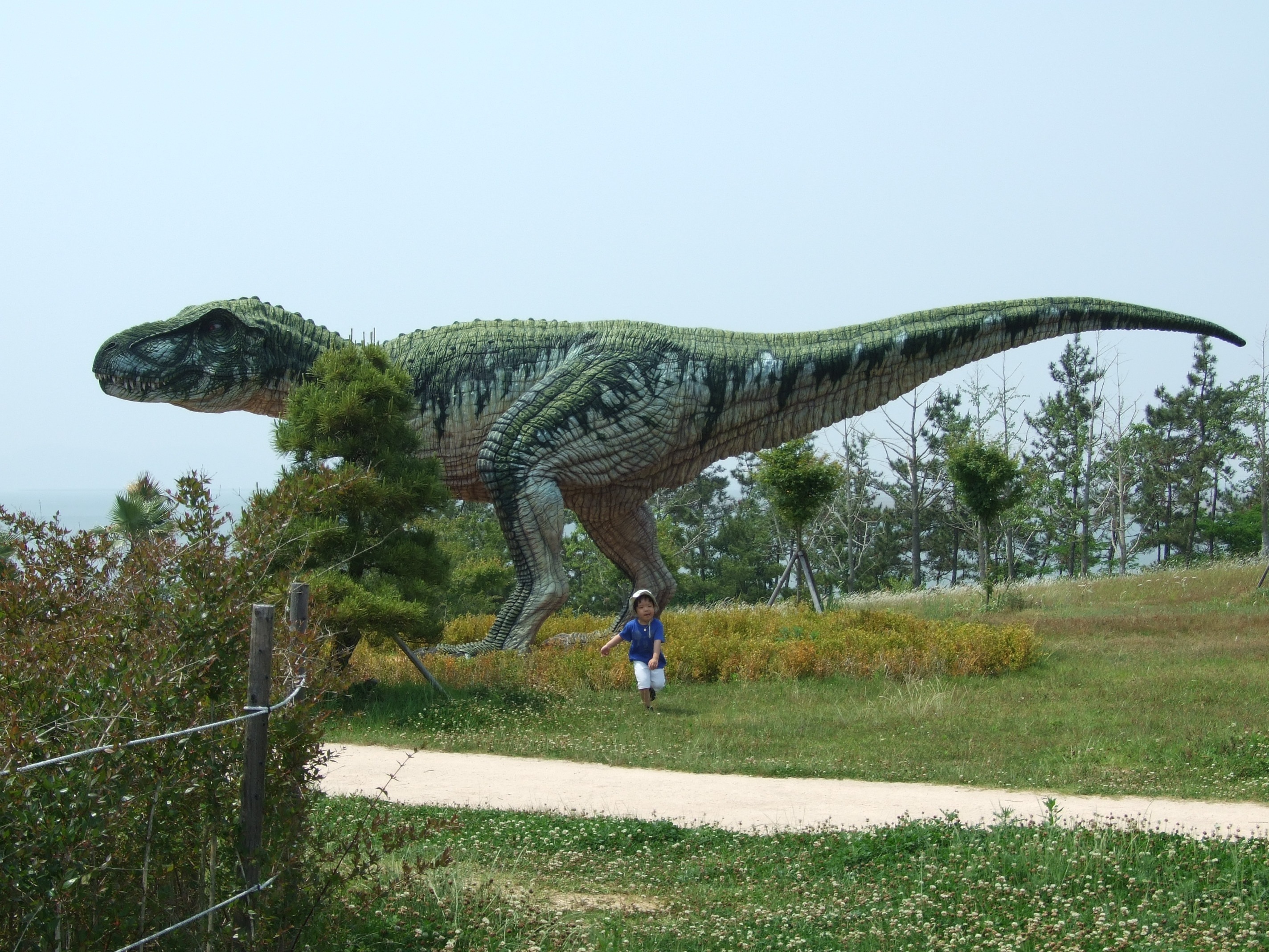 one person, green color, field, outdoors, plant, leisure activity, park - man made space, lifestyles, dinosaurs, sky, grass, dinosaur museum, nature, men, HD Wallpaper