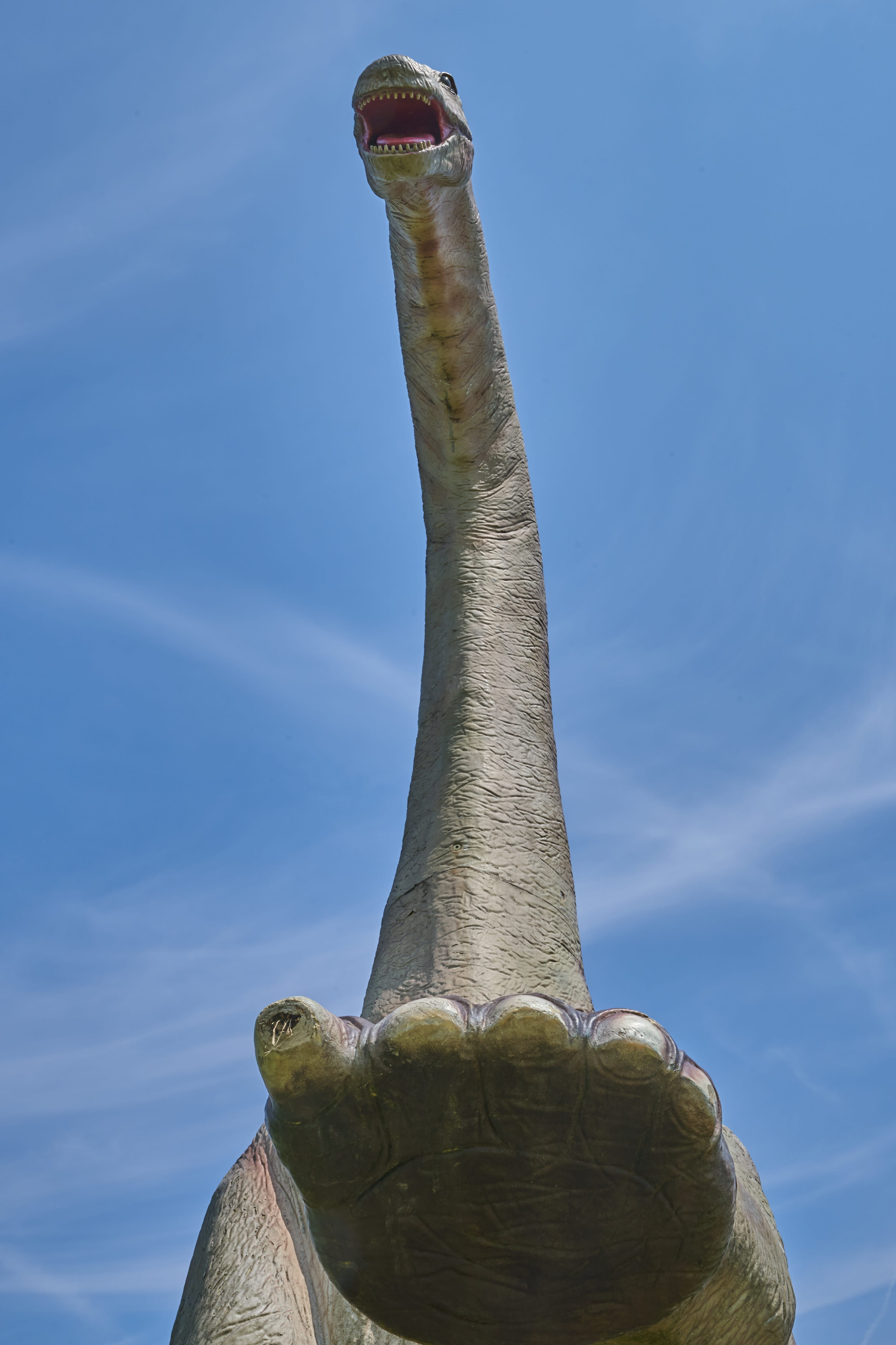 day, vertebrate, one animal, animal representation, low angle view, animal mouth, close-up, nature, sky, statue, art and craft, animal body part, reptile, Phone HD Wallpaper