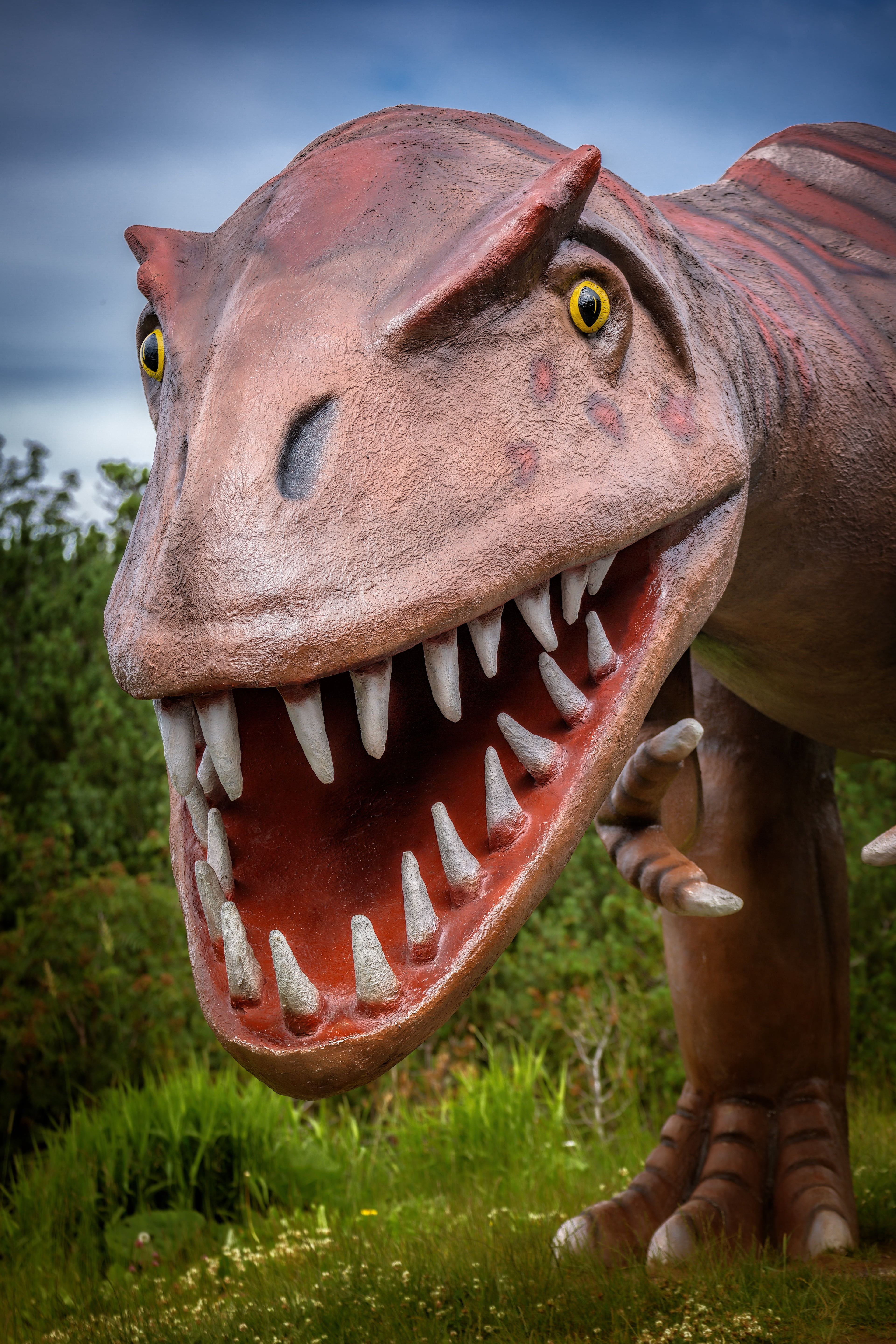 nature, animal themes, dino, art and craft, day, prehistoric times, extinct, focus on foreground, t rex, animal Teeth, reptile, 5K, brown, mouth, animal representation, Phone HD Wallpaper