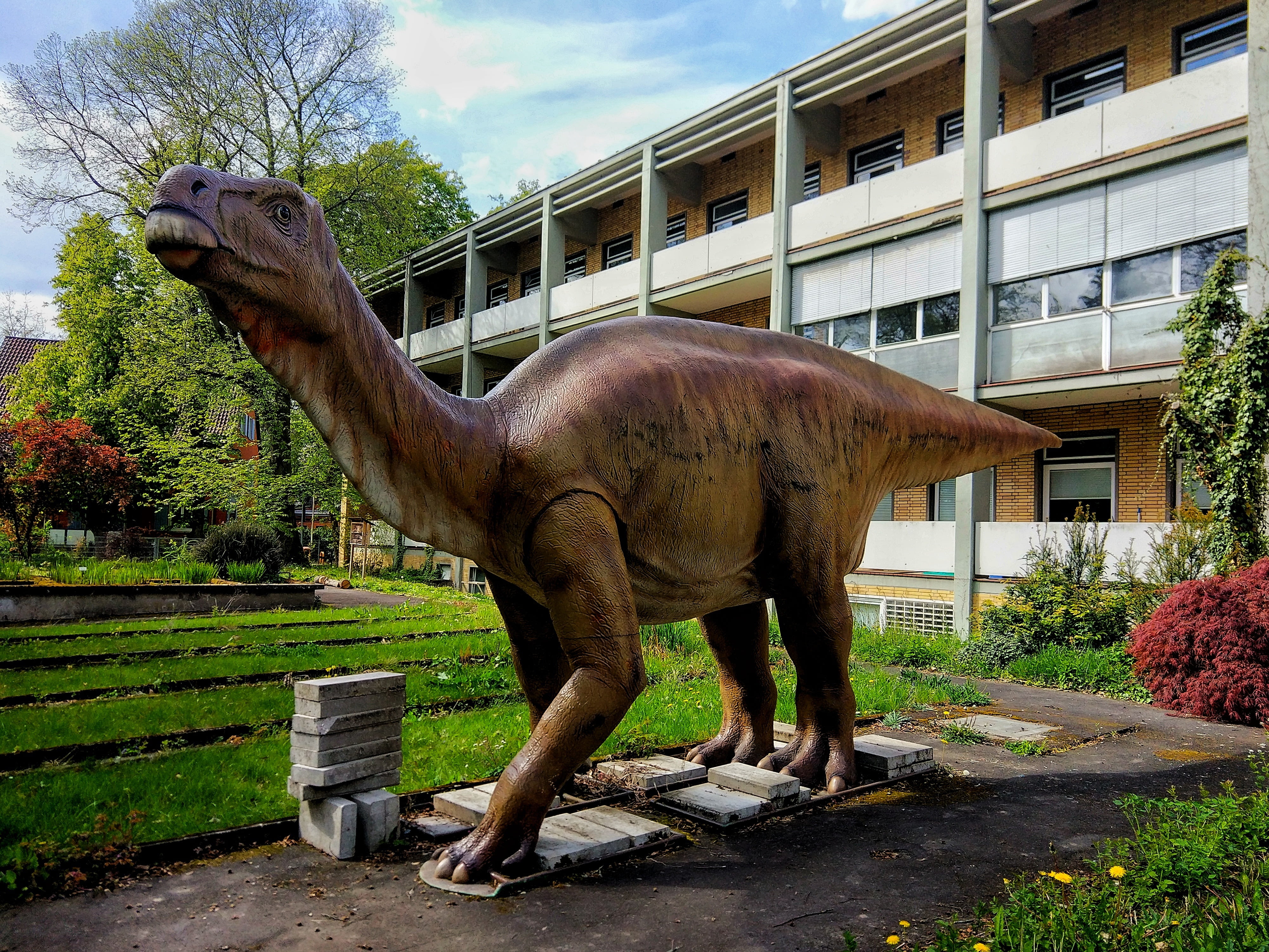 dinosaur, outdoors, representation, day, urtier, lizard, built structure, replica, building exterior, animal themes, cloud - sky, figure, 4K, no people, HD Wallpaper