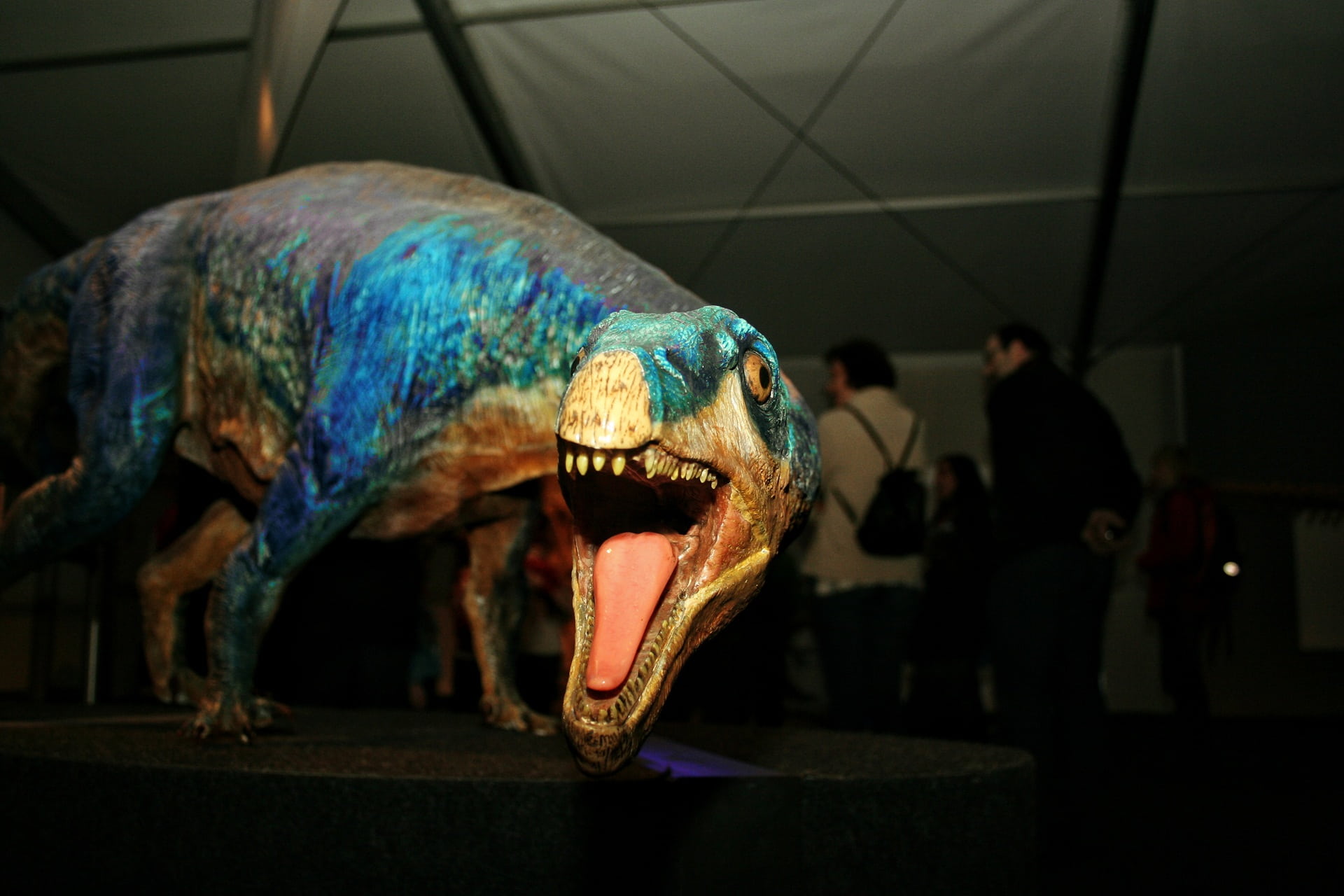 vertebrate, indoors, animal body part, full length, model, animals in captivity, representation, people, extinct, mouth, incidental people, mouth open, HD Wallpaper