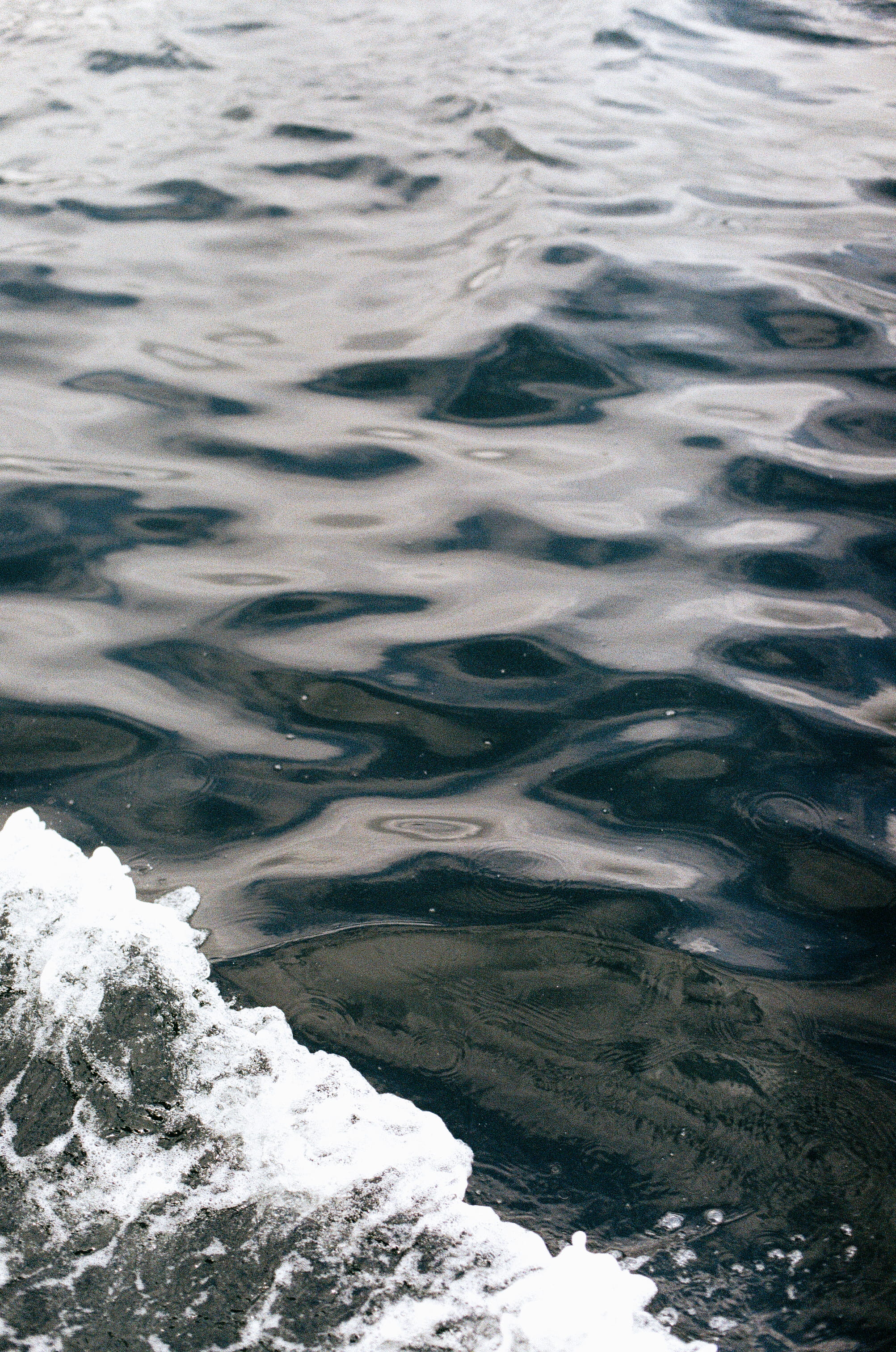 day, waterfowl, ocean, negative, glacier, snow, ripple, film, no people, motion, peace, rug, mountain, rock, iceberg, ripples, water, waterfront, Phone HD Wallpaper