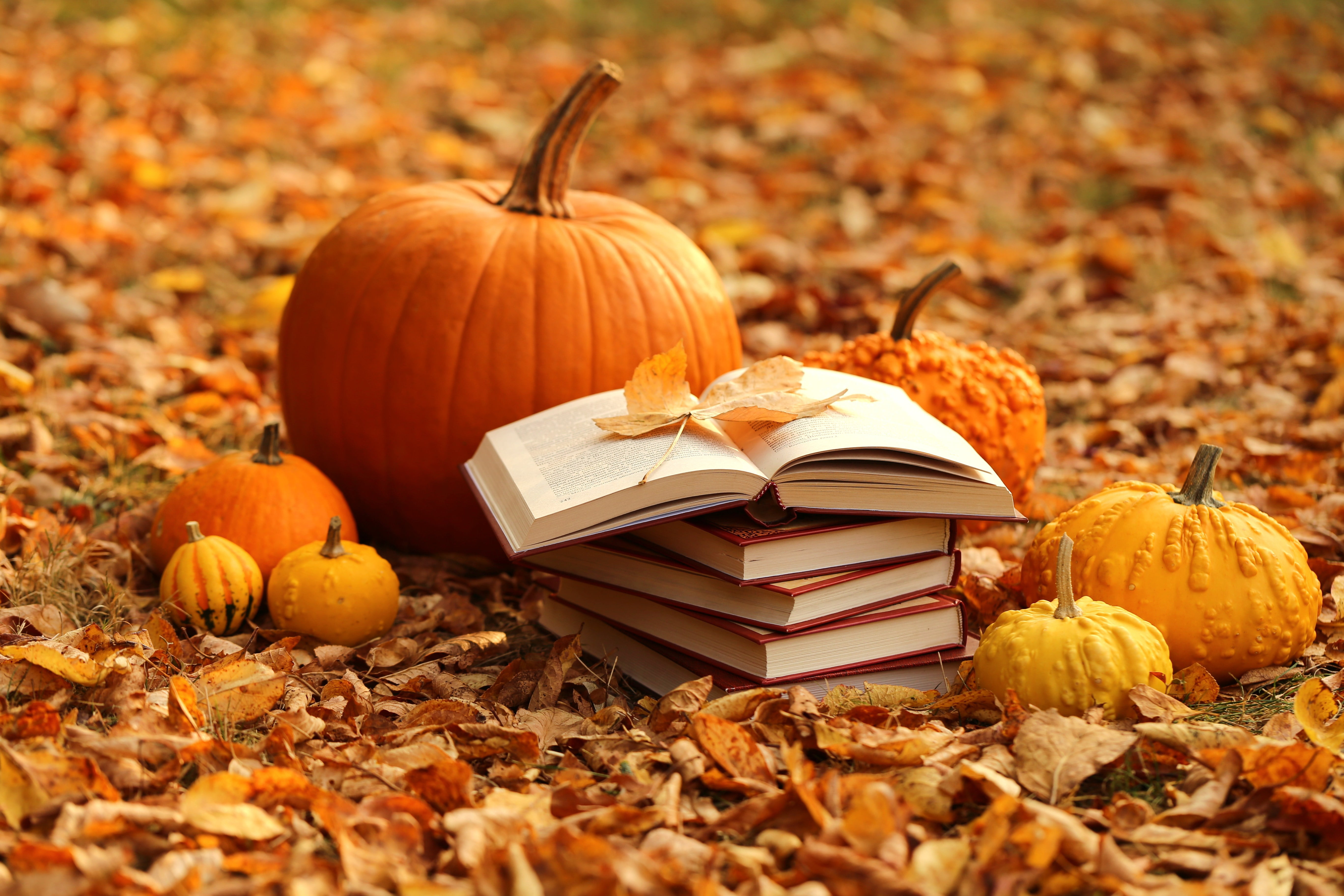 Book, Still Life, Pumpkin, Leaf, 5K, Photography, Fall, HD Wallpaper