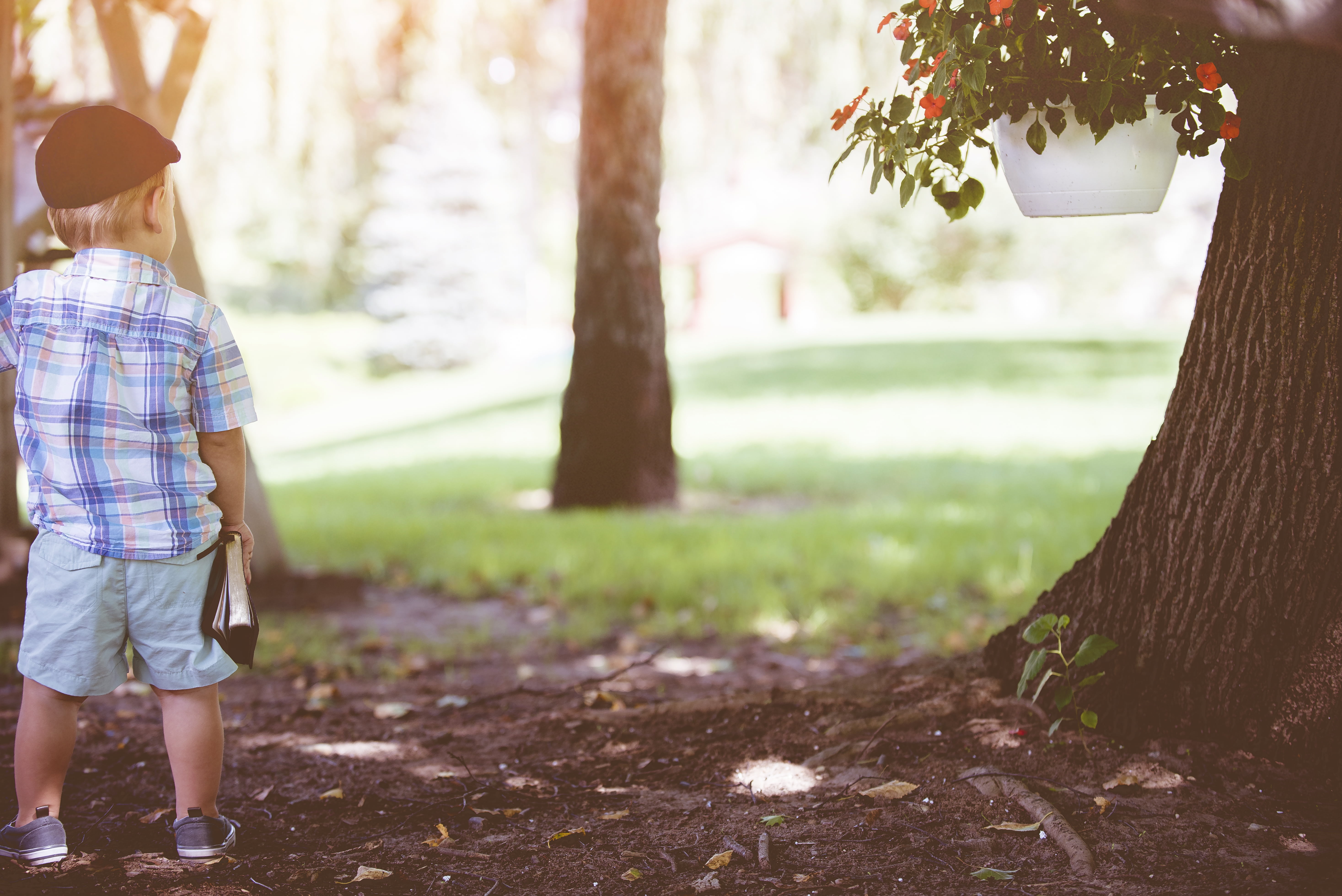 grass, outdoors, park, nature, caucasian Ethnicity, summer, emotion, childhood, landscape, child, checkered shirt, rear view, playing, smiling, shoes, land, HD Wallpaper