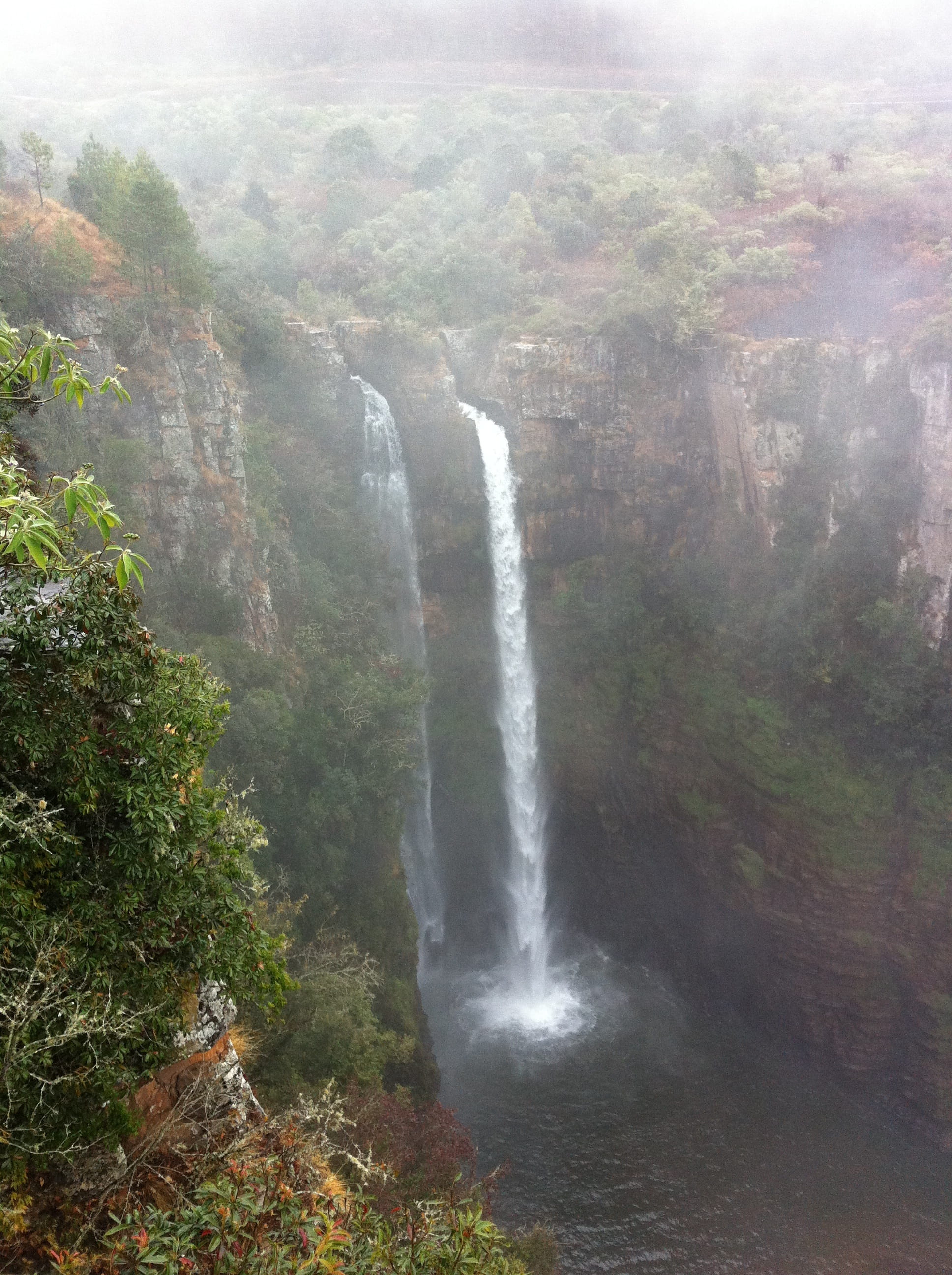 tree, forest, mac-mac river, cliff, rock, falls, 2K, power in nature, mountain, stream, beauty in nature, plant, nature, land, bush, formation, mpumalanga, Phone HD Wallpaper