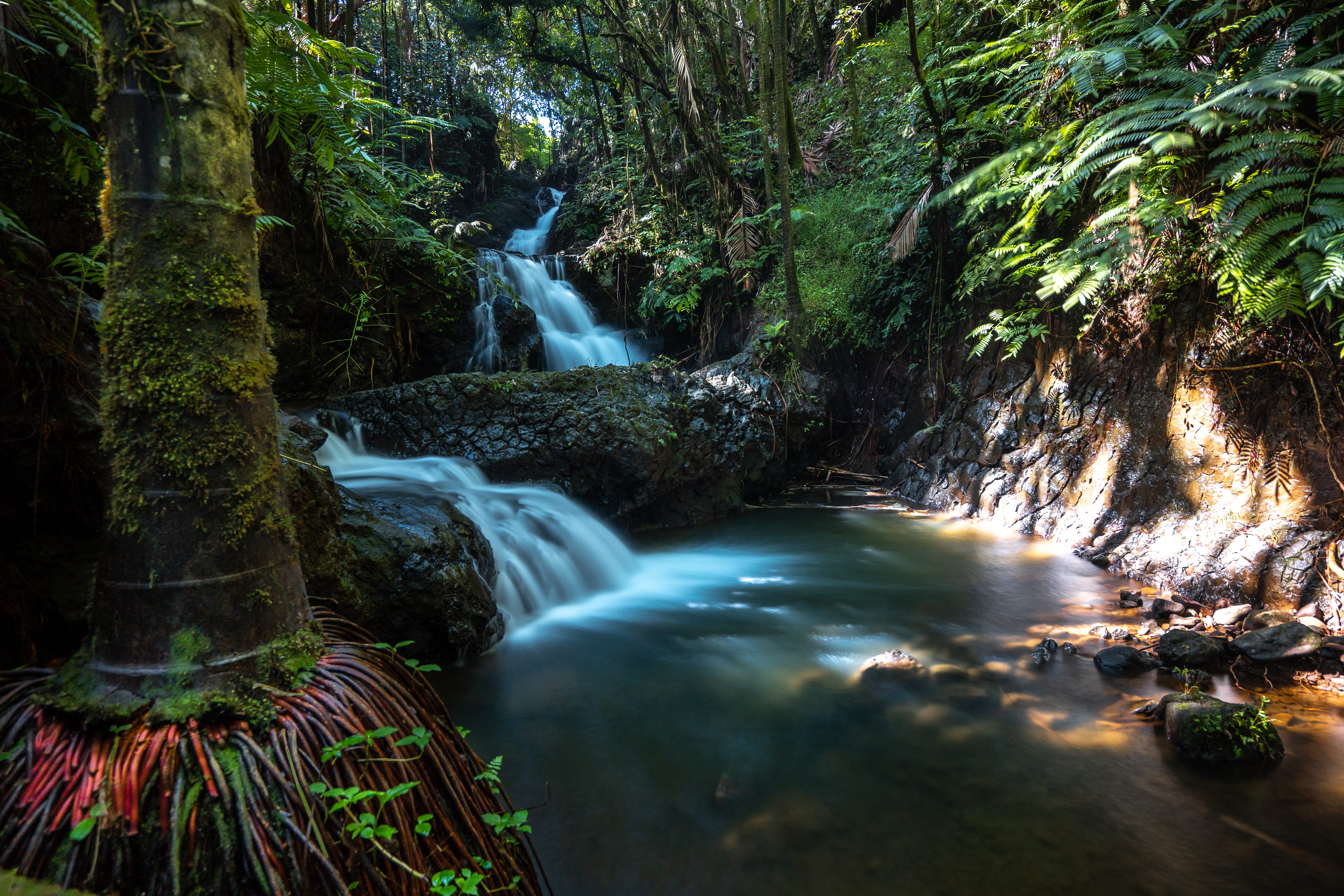 power in nature, no people, beauty in nature, nature, waterfall, flowing, growth, non-urban scene, usa, green, solid, flowing water, rock, forest, hilo, HD Wallpaper