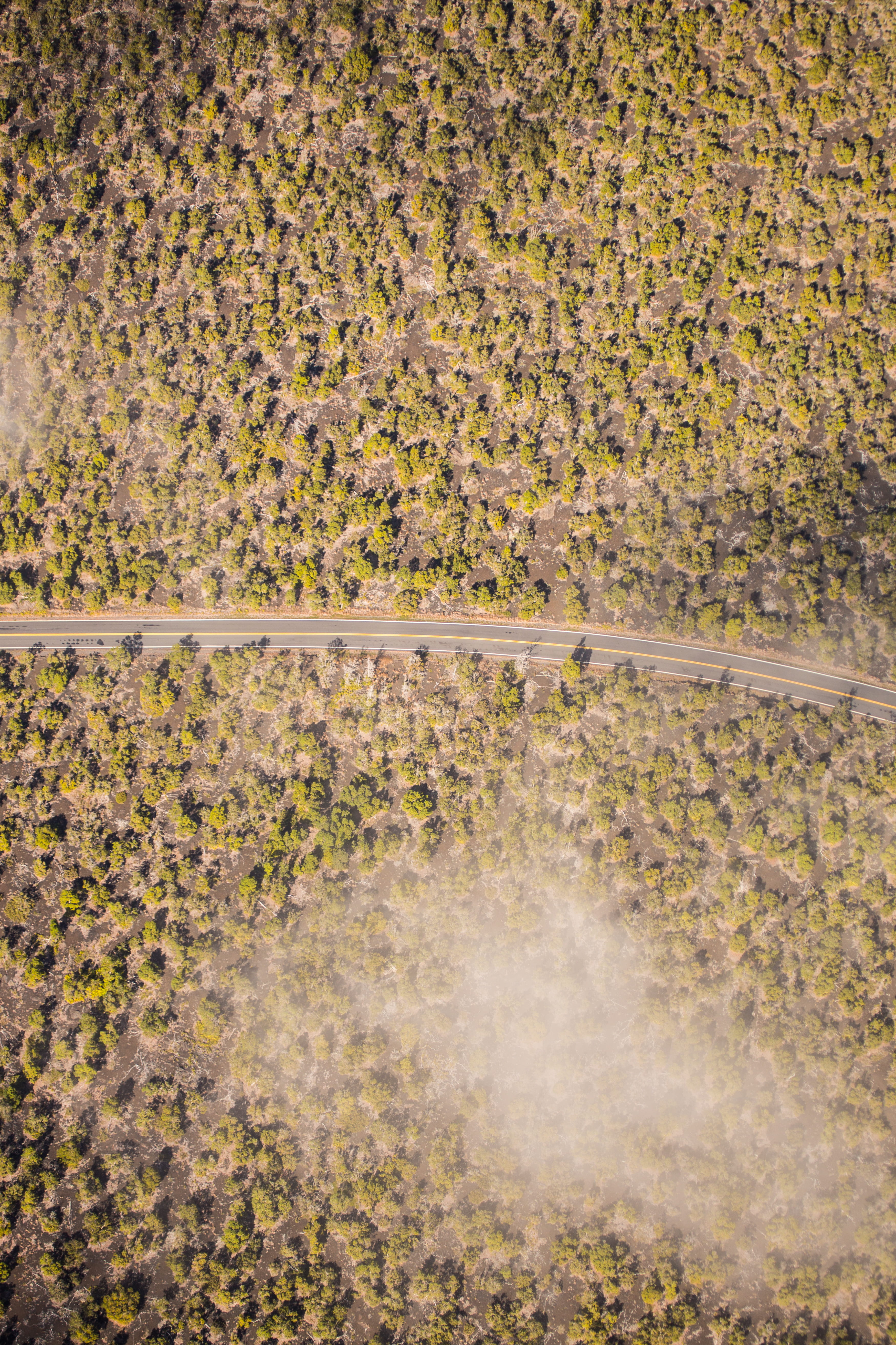 water, no people, yellow line, chloe, ride, tree, growth, landscape, tranquility, outdoors, 5K, helicopter, untitled, land, high angle view, day, trees, Phone HD Wallpaper