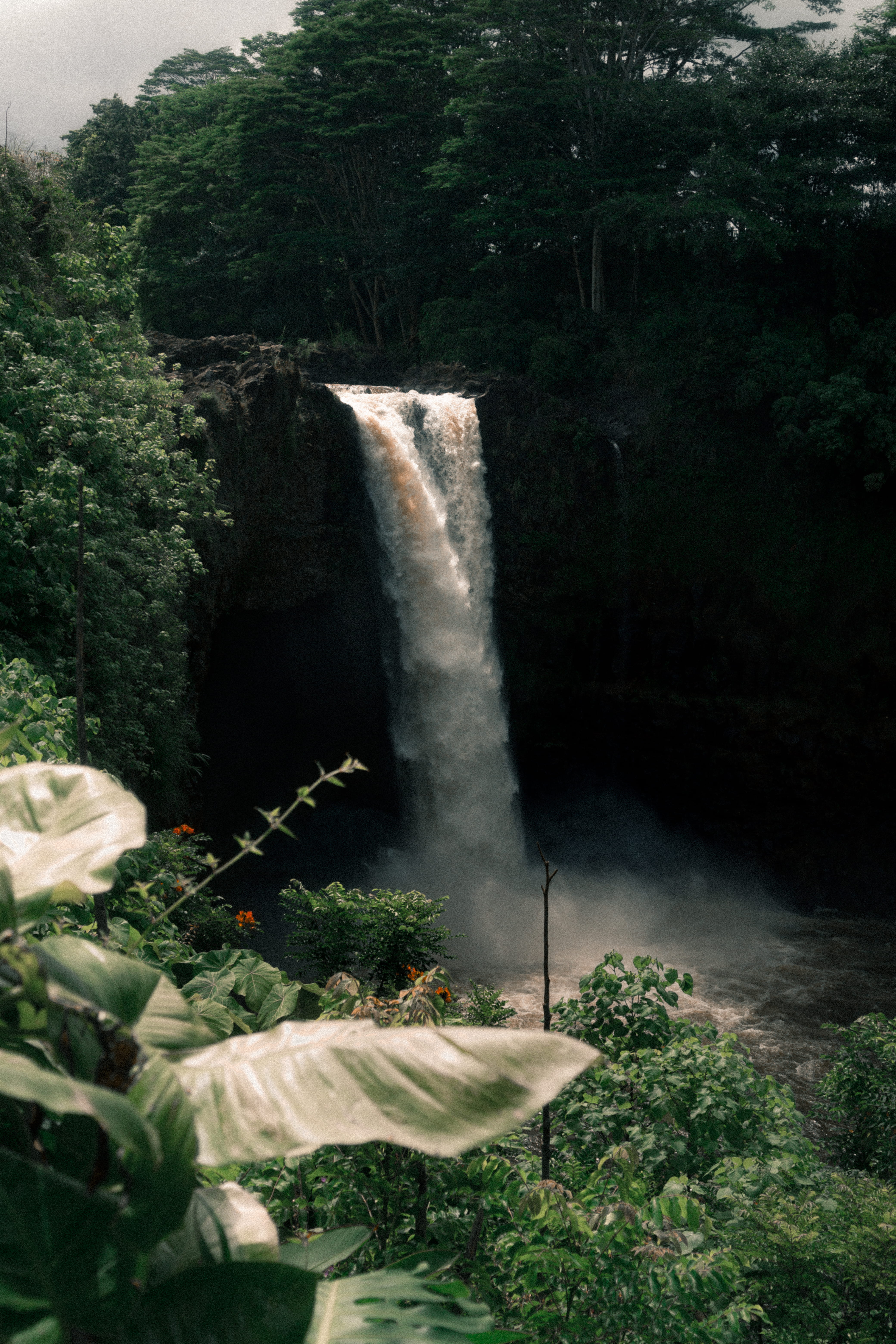 environment, canon, peace, forest, rainforest, tree, stream, travel, tourism, water, flower, big waterfall, awe, beauty In Nature, waterfalls, jungle, flowing Water, Phone HD Wallpaper