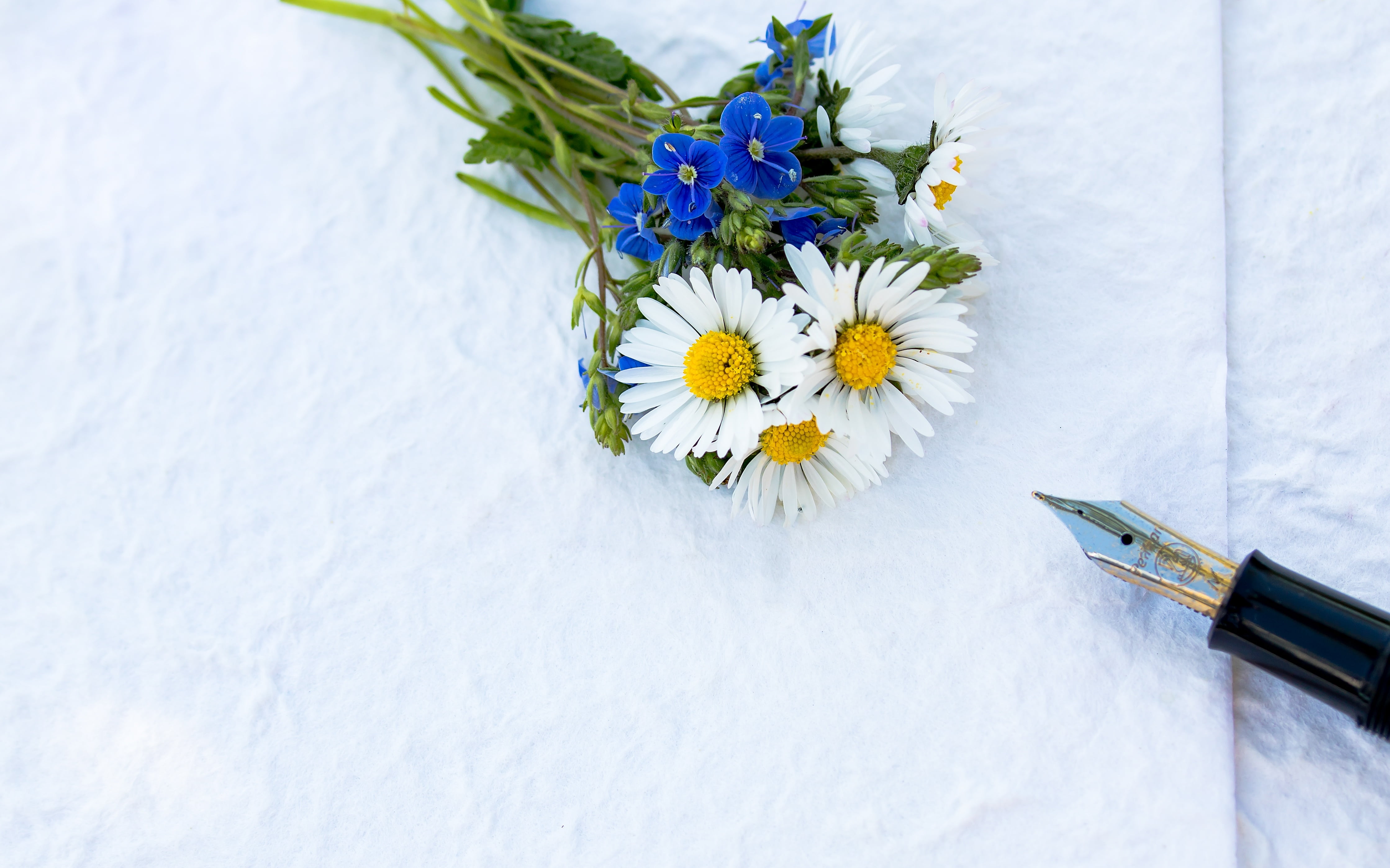 flower, day, bellis philosophy, label, freshness, cold temperature, close-up, thank you card, plantain greenhouse, table, write text, leave, greeting card, HD Wallpaper